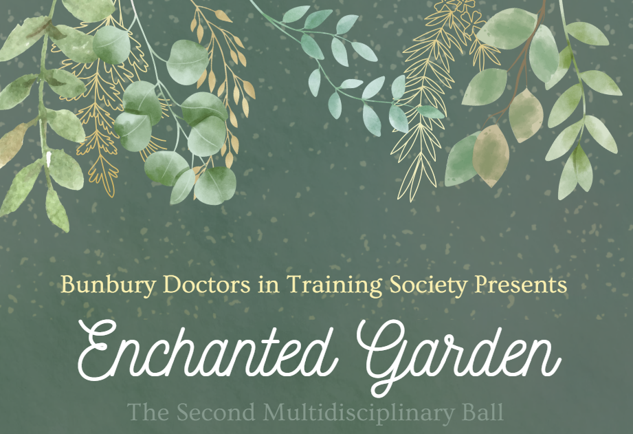 Multidisciplinary Ball 