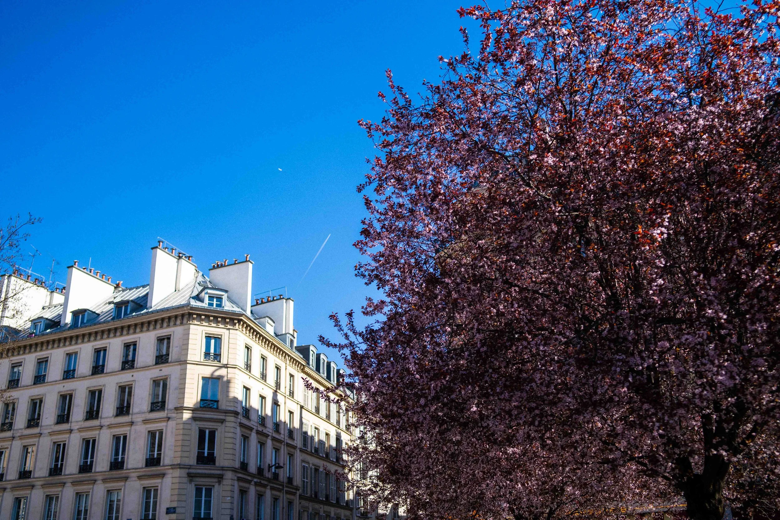 IXème, XIXème, XIème, Ième, IIIème & IVème [web]-27.jpg