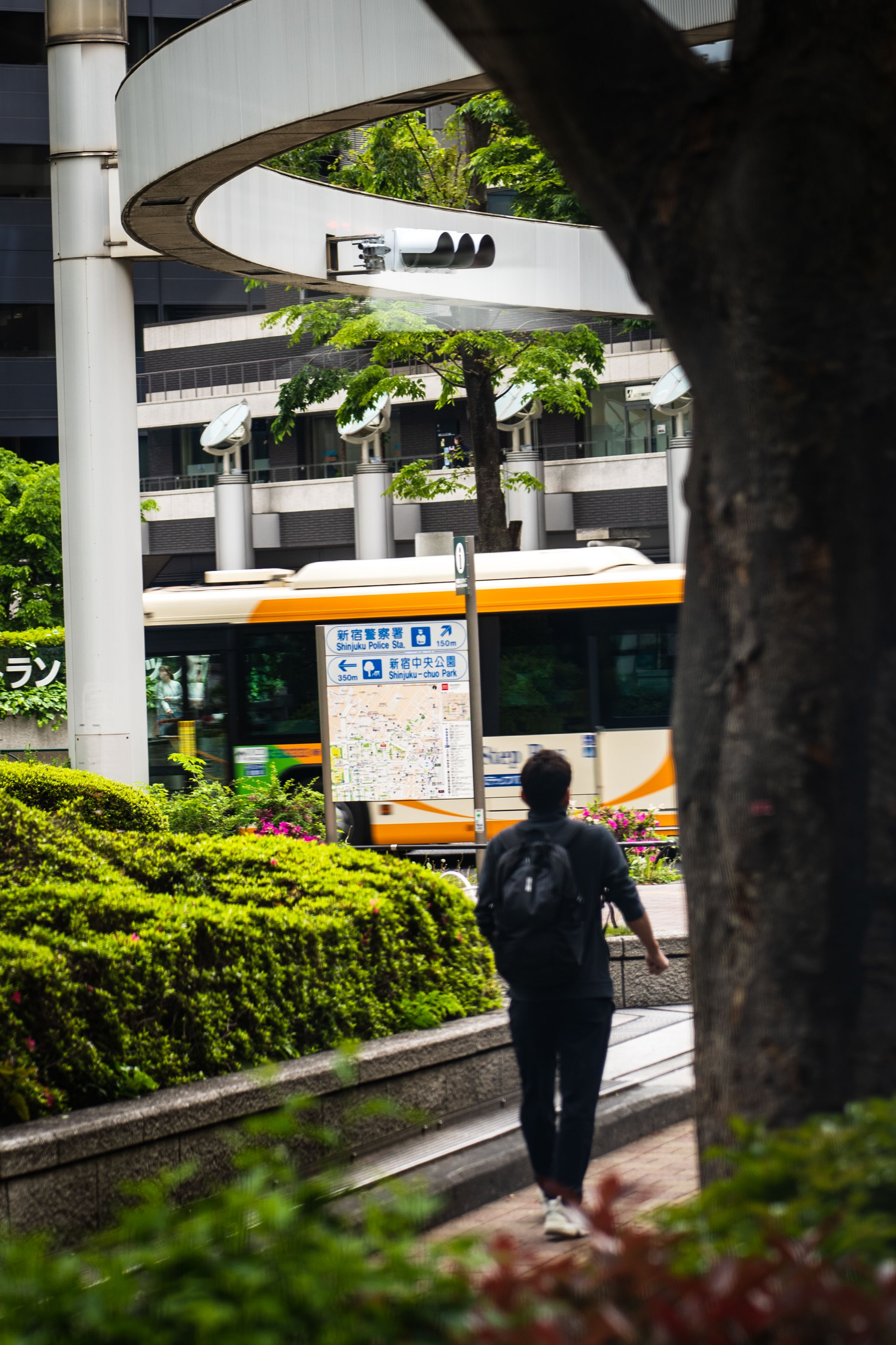 _IMG0031.jpg