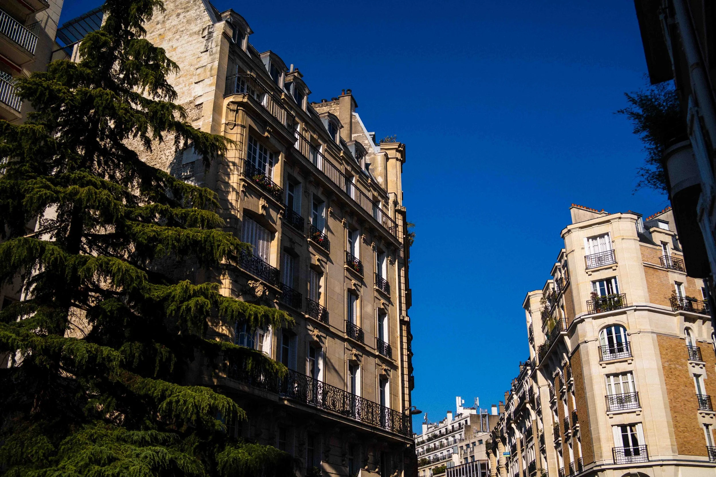 VIIIème, XVIème & XVème [web]-1.jpg