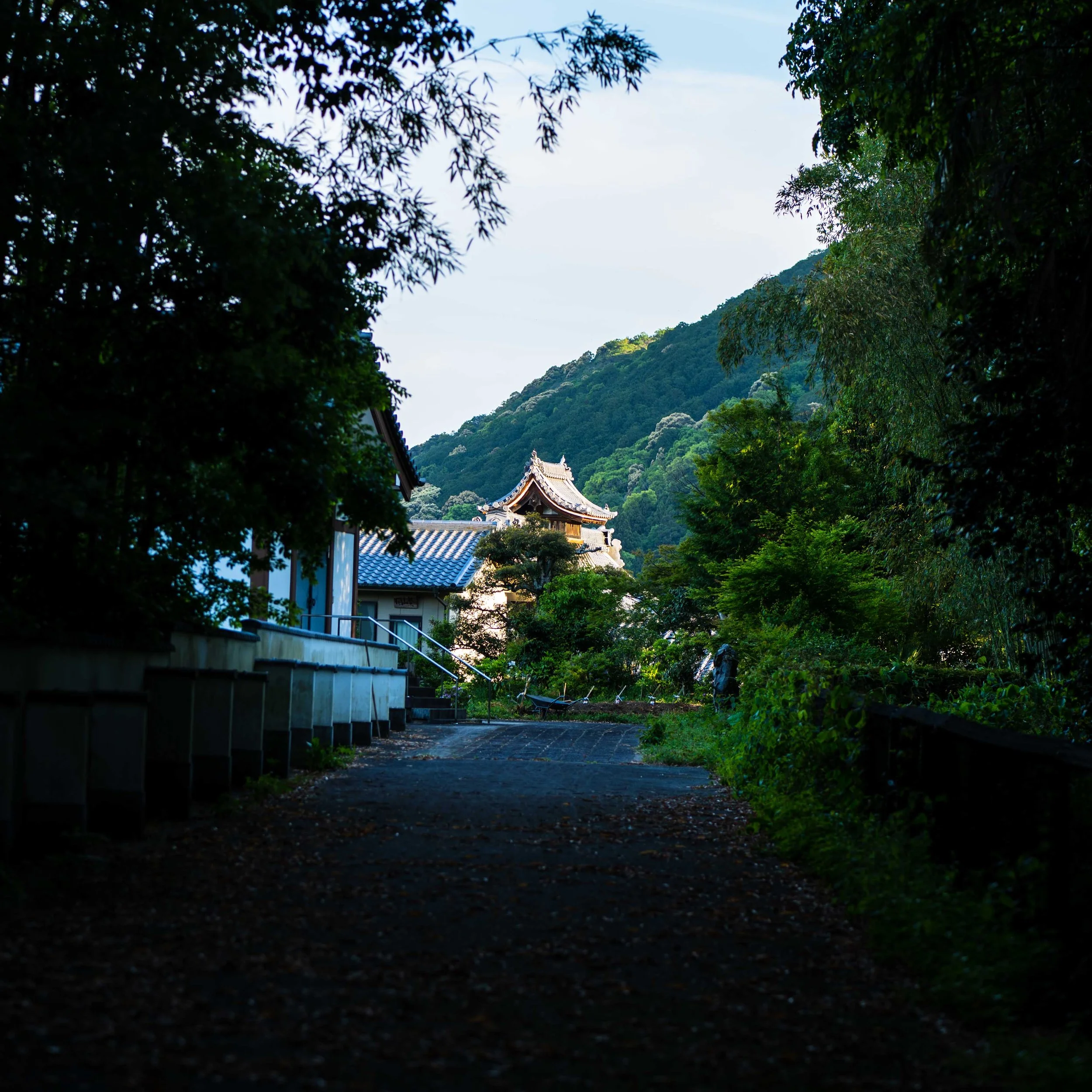 _IMG0052.jpg