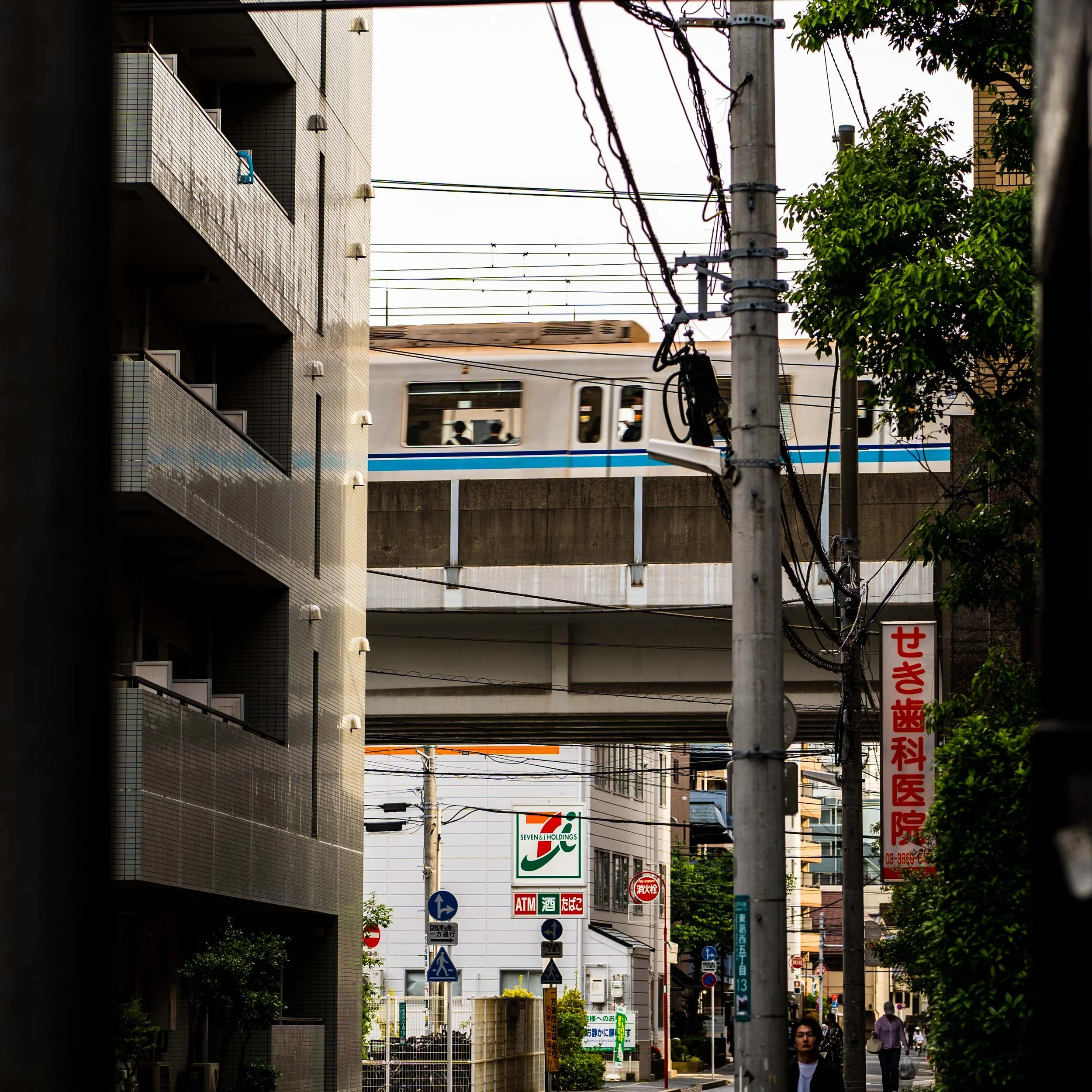 _IMG0406.jpg