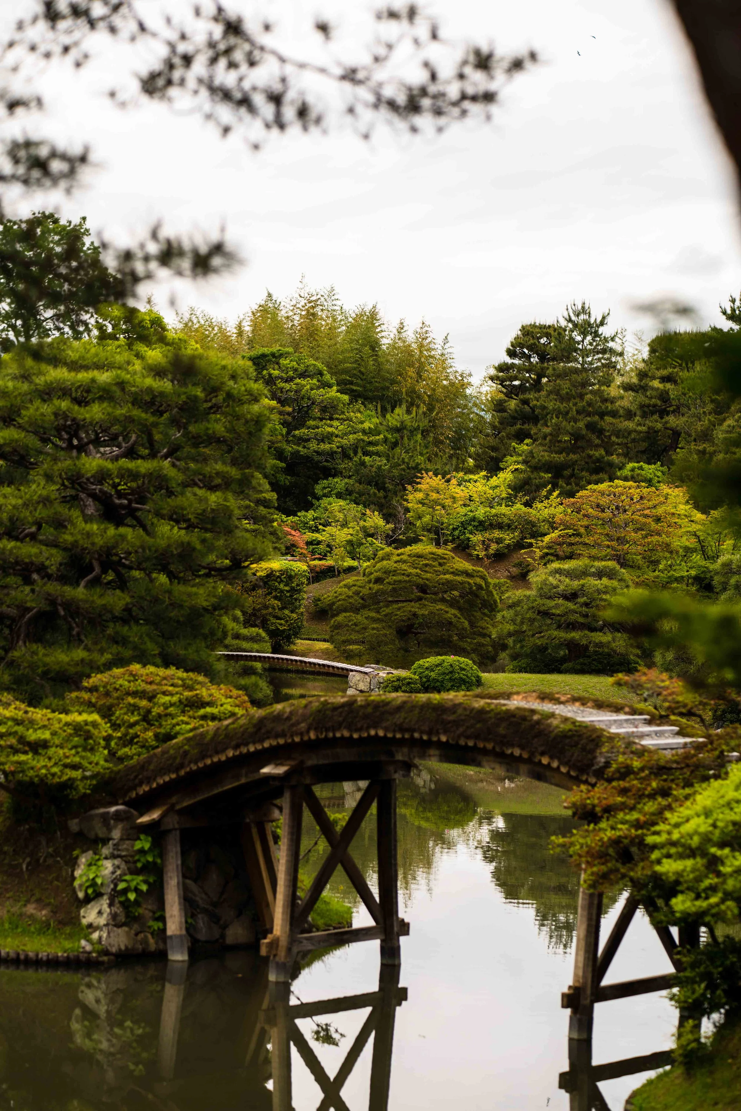 _IMG0134.jpg