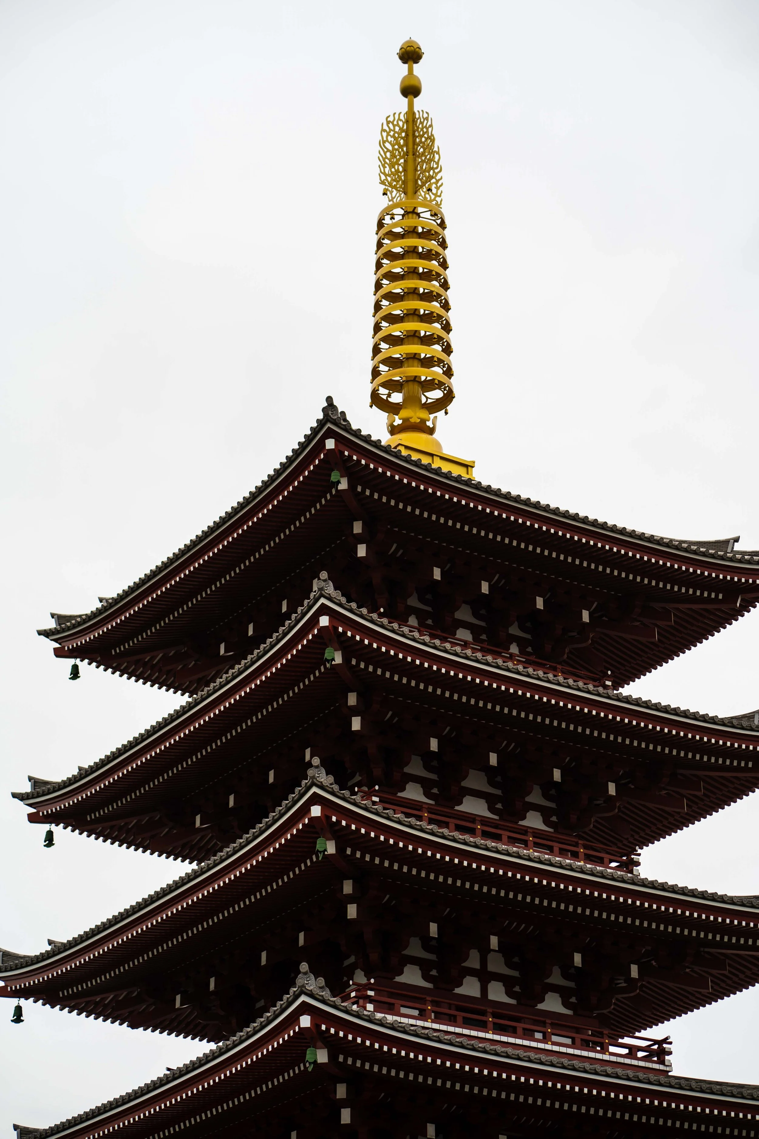 _IMG0362.jpg