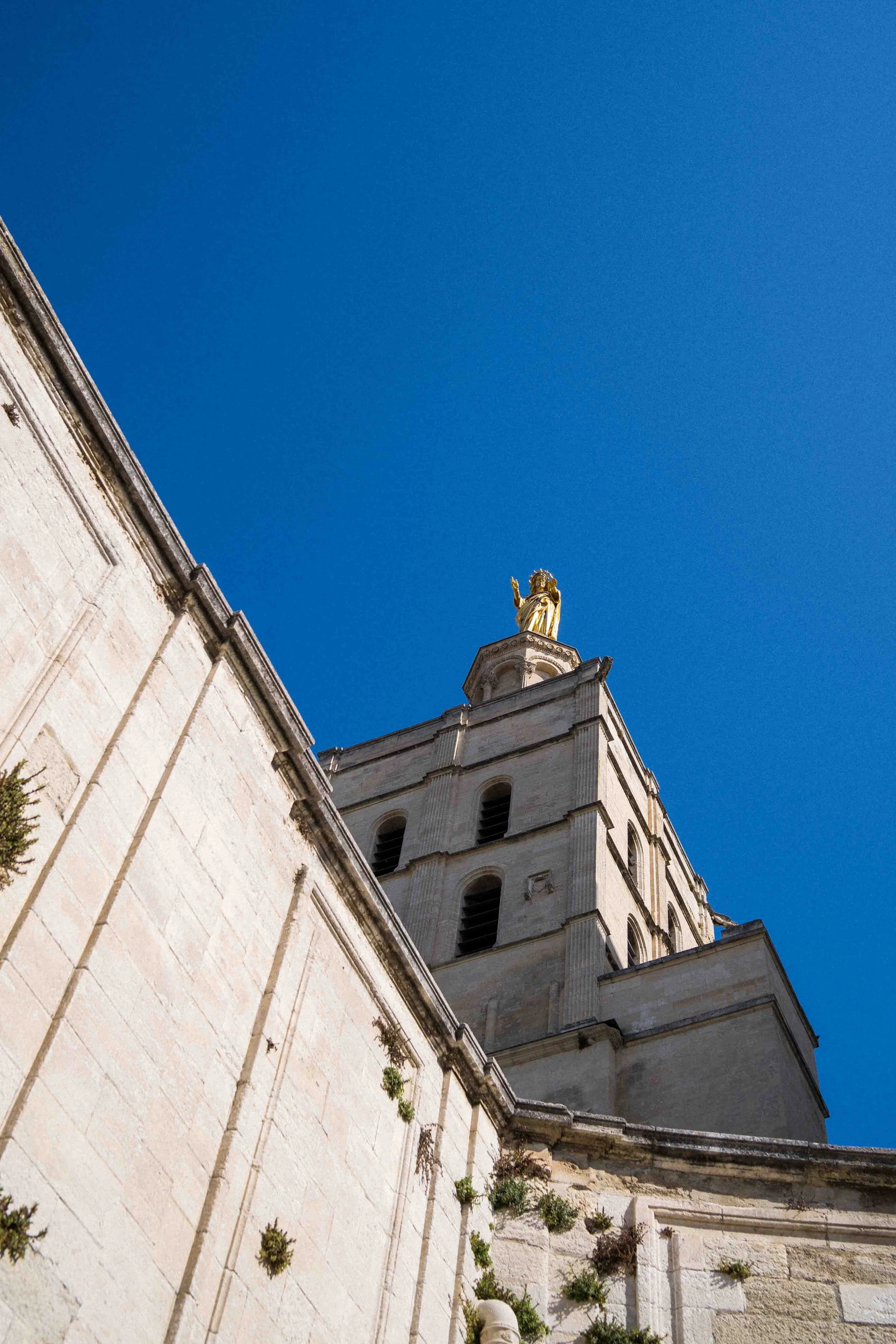 Avignon-8-selected.jpg