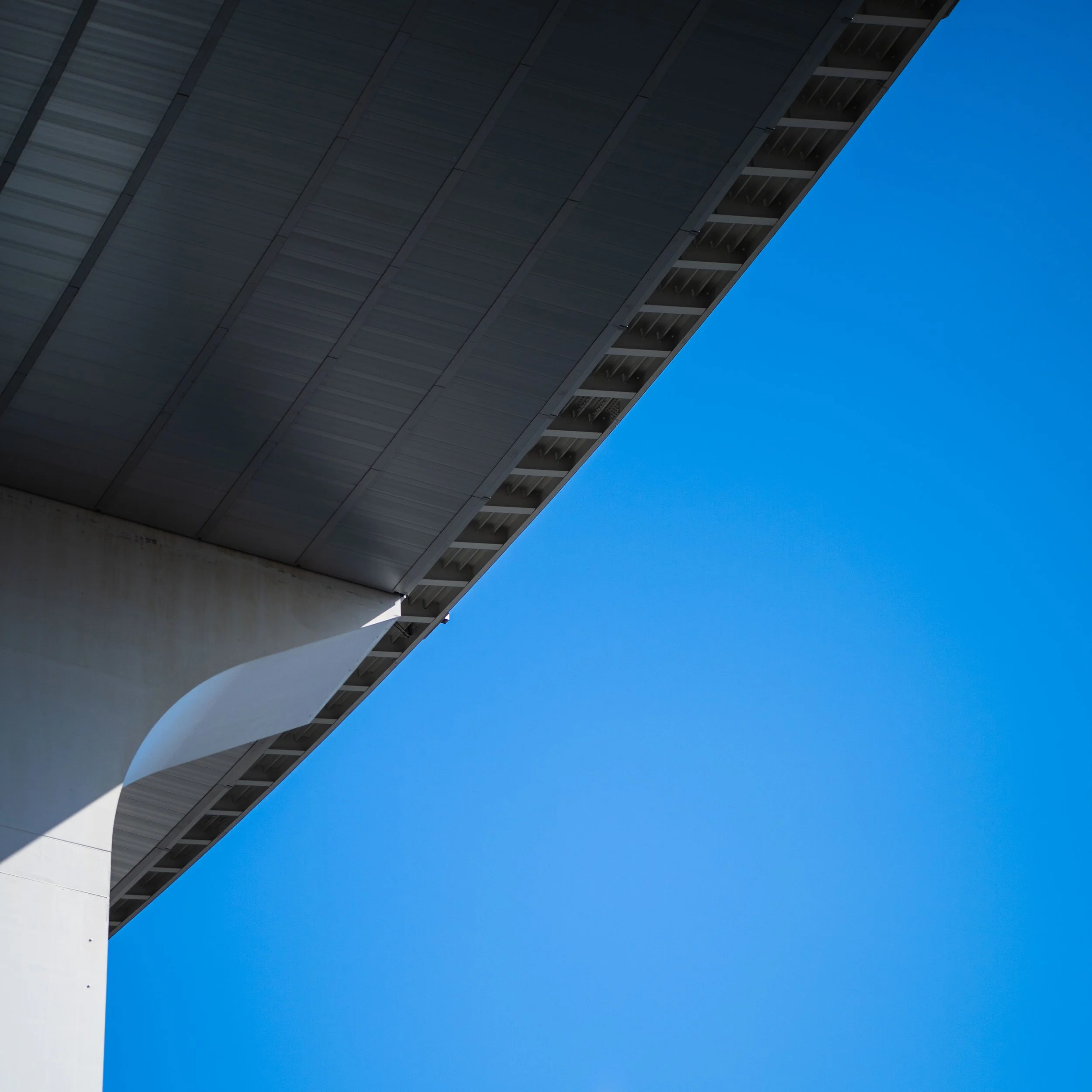 _IMG0087.jpg