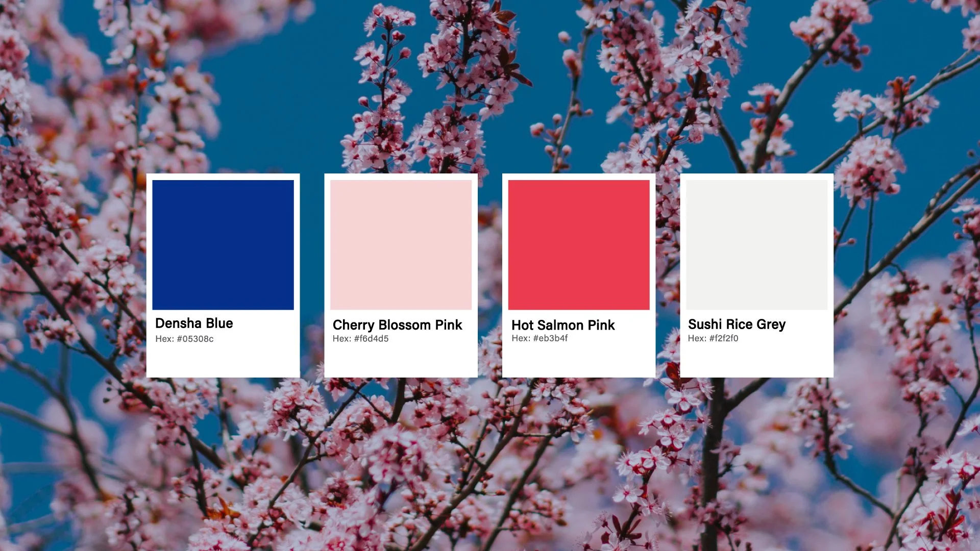 Brand colour palette for a sushi restaurant rebranding project featuring a mix of vibrant shades inspired by beautiful Japanese landscapes, including sky blue, cherry blossom pink, hot salmon pink and sushi white.