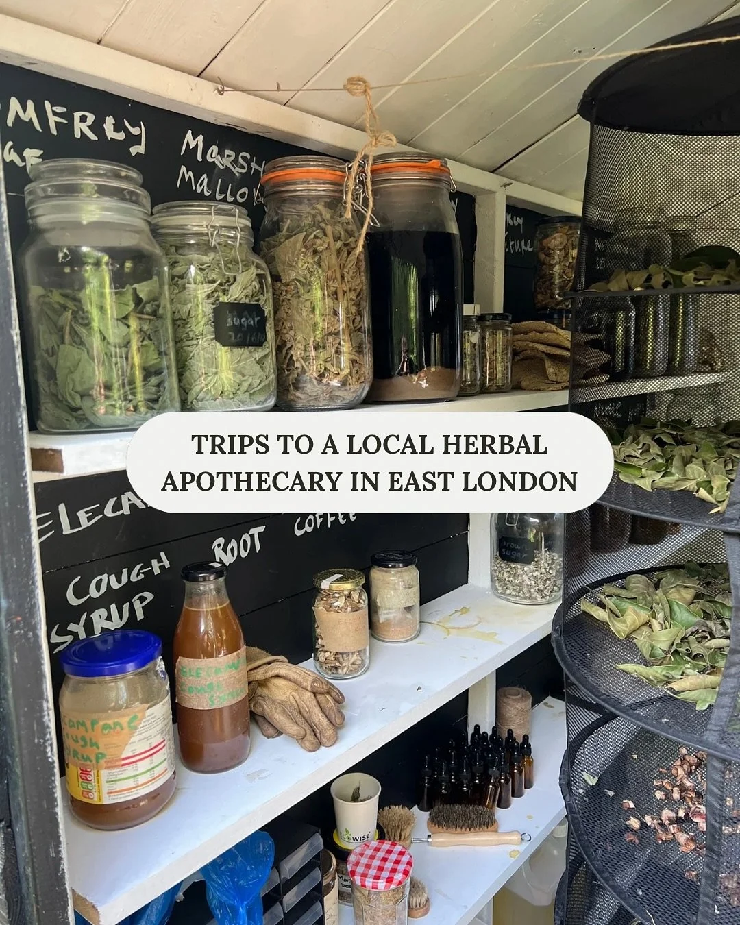 Little September glimmers ✨ grateful for the moments that bought me joy 😌🧡 

#septemberhighlights #gratefulmoments #momentsofjoy #glimmers #mindfulmoments