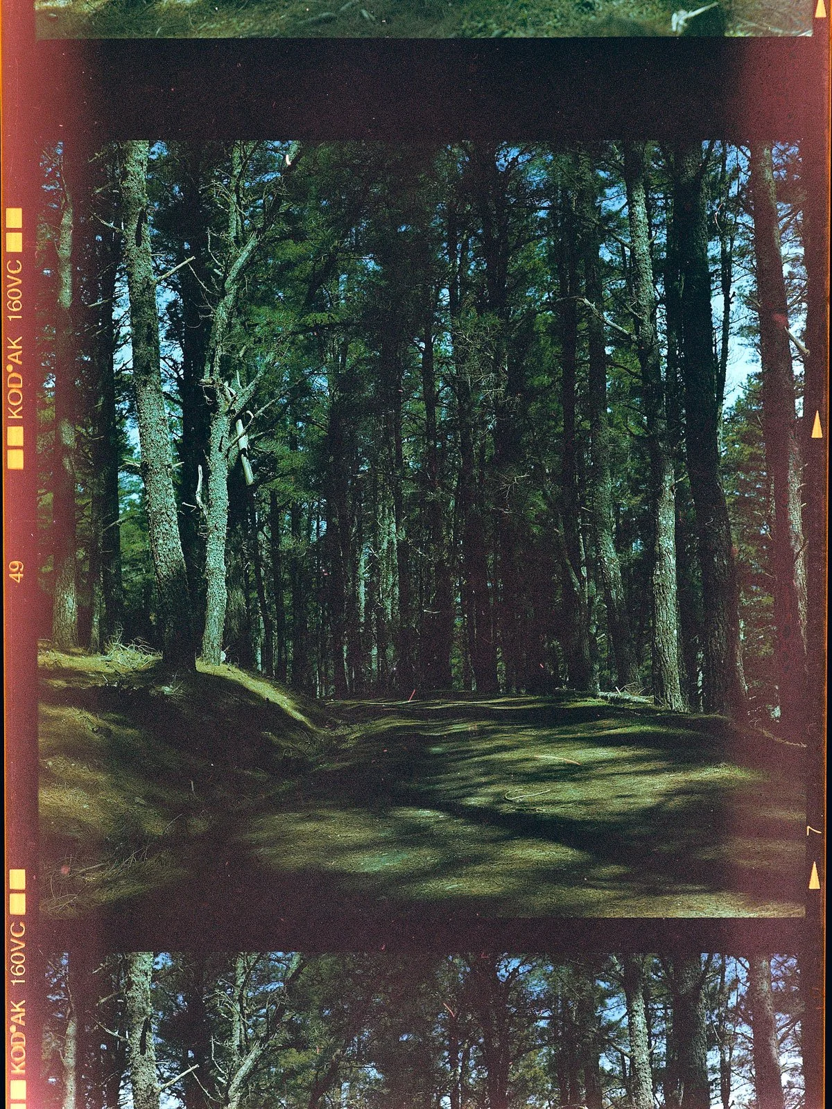 FILM-SCANS26593.jpg