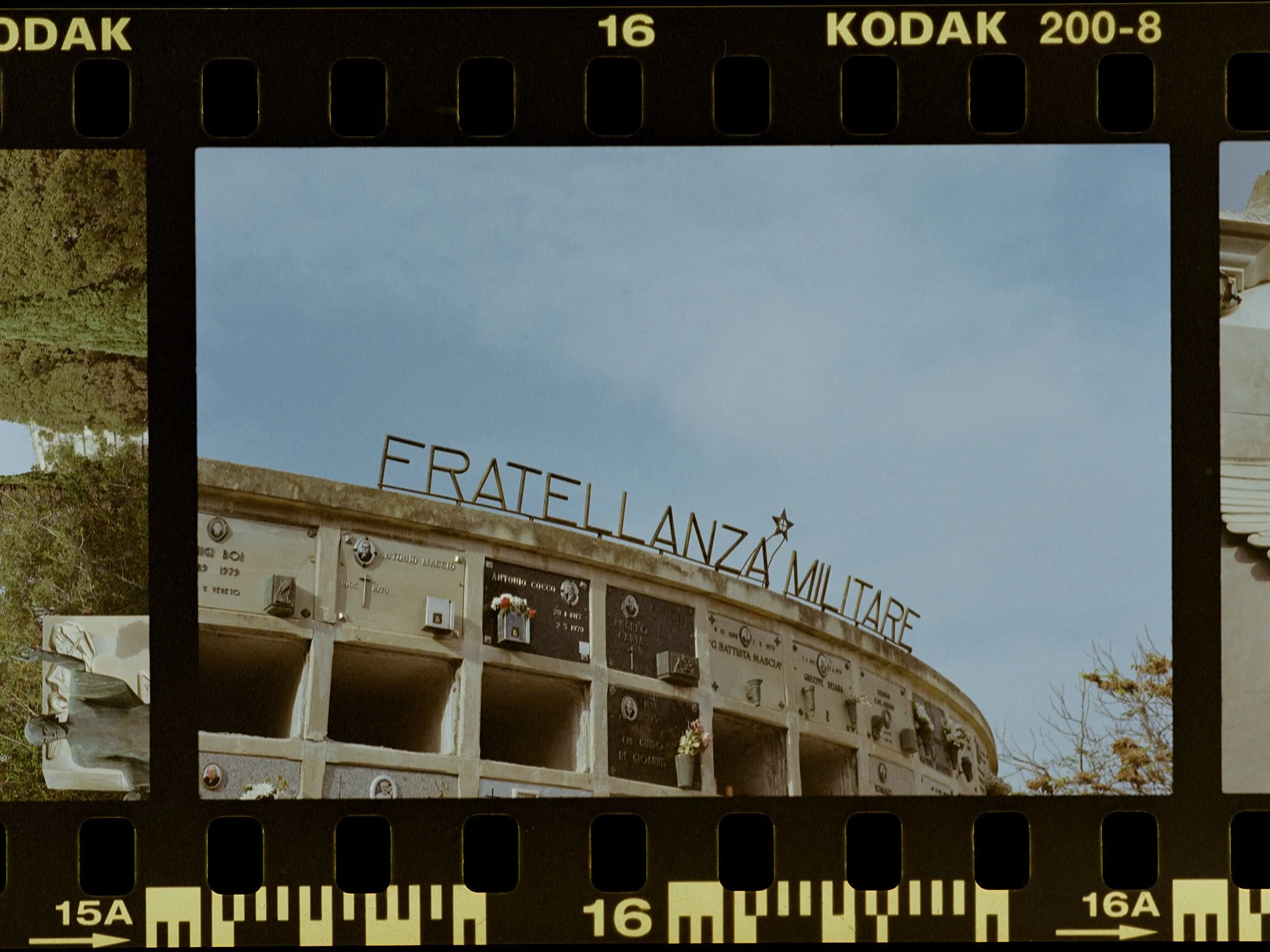 FILM-SCANS-03-2025-32370.jpg