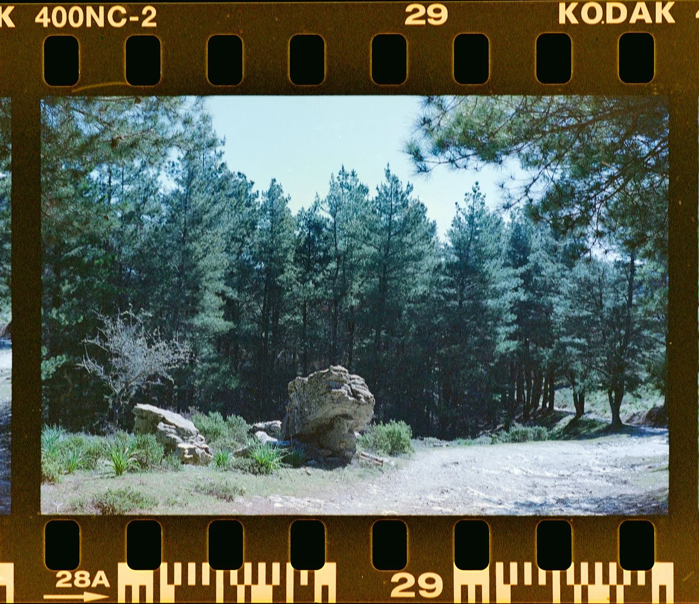 FILM-SCANS26627.jpg