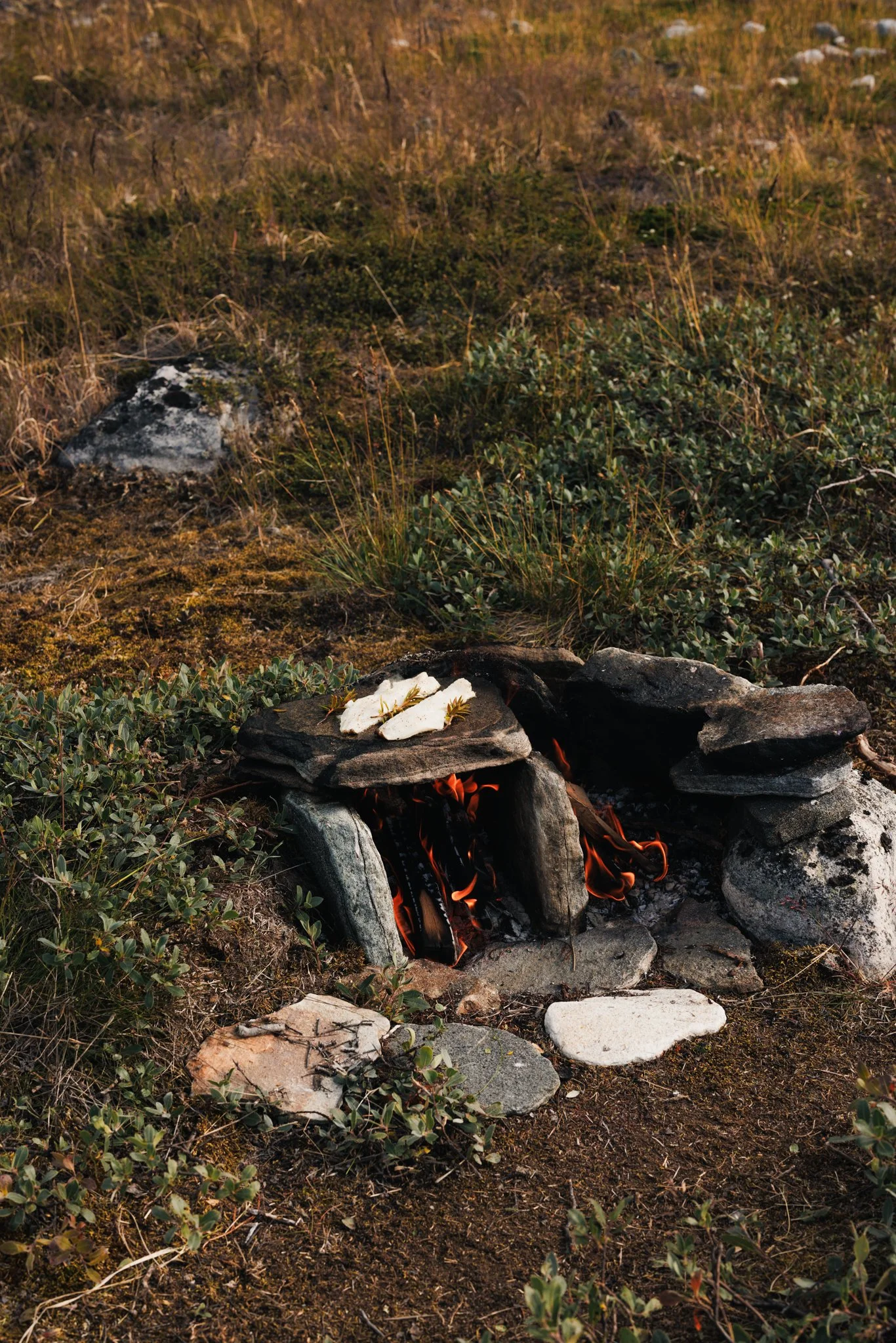 Greenland - Copyright Stephanie Pollak-085.jpg