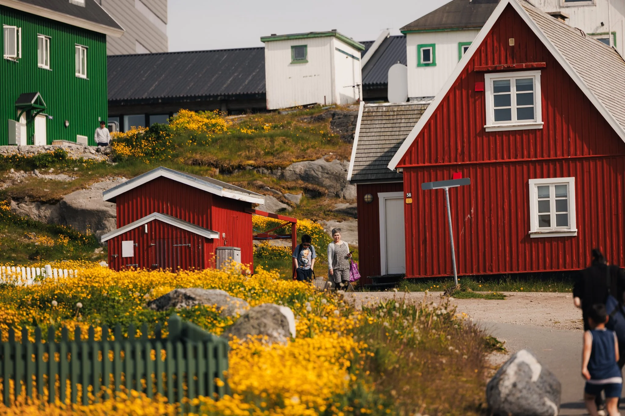 Greenland - Copyright Stephanie Pollak-010.jpg