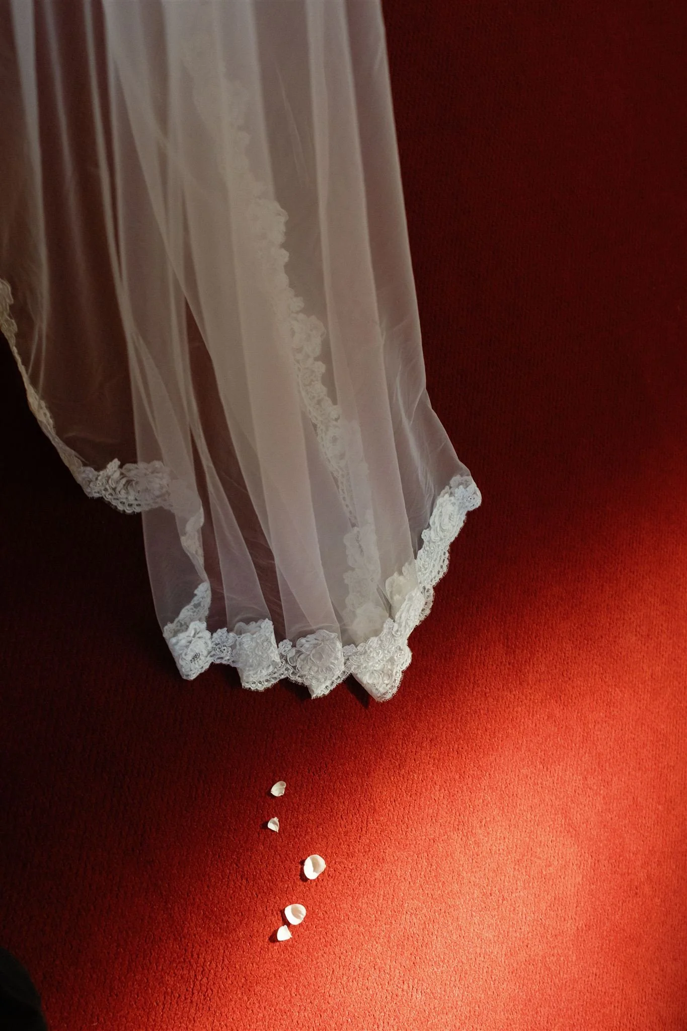 Caitlyn and Rob-261_websize.jpg