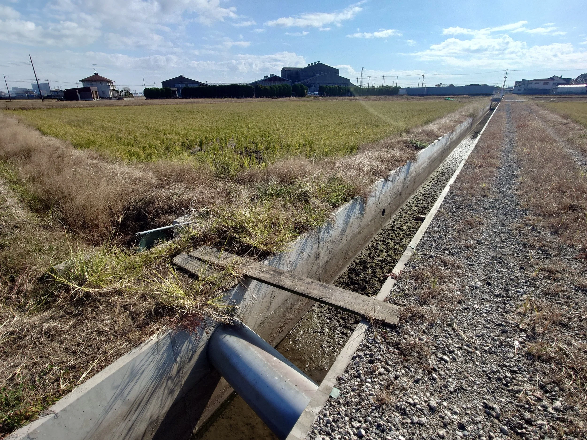 PoC(農業實驗) 概念驗證 具備快速商業化的潛力，誠摯邀請認同「台灣技術輸出日本」理念的夥伴，一同擴大實績與商業規模