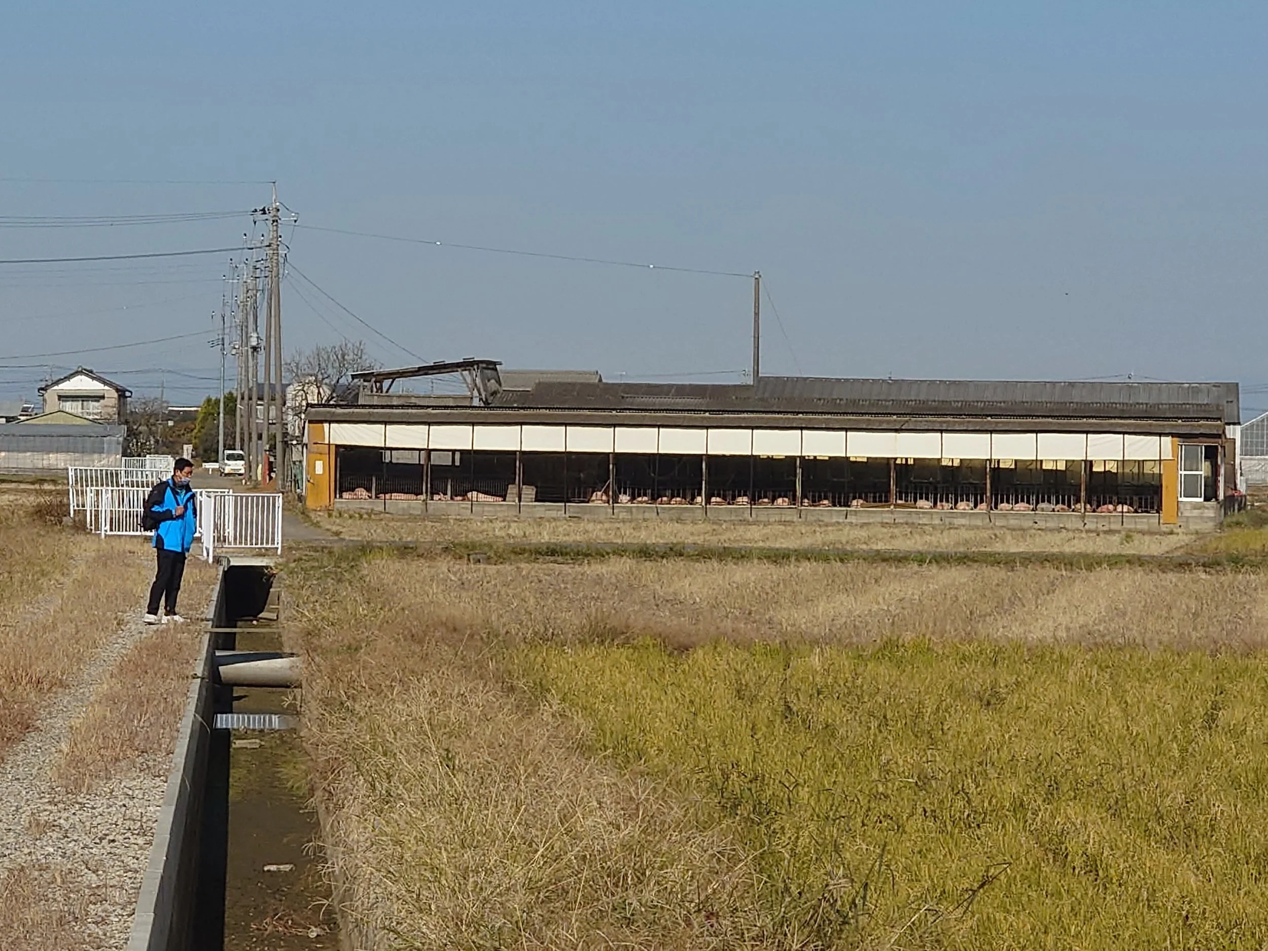 PoC(農業實驗) 概念驗證 具備快速商業化的潛力，誠摯邀請認同「台灣技術輸出日本」理念的夥伴，一同擴大實績與商業規模