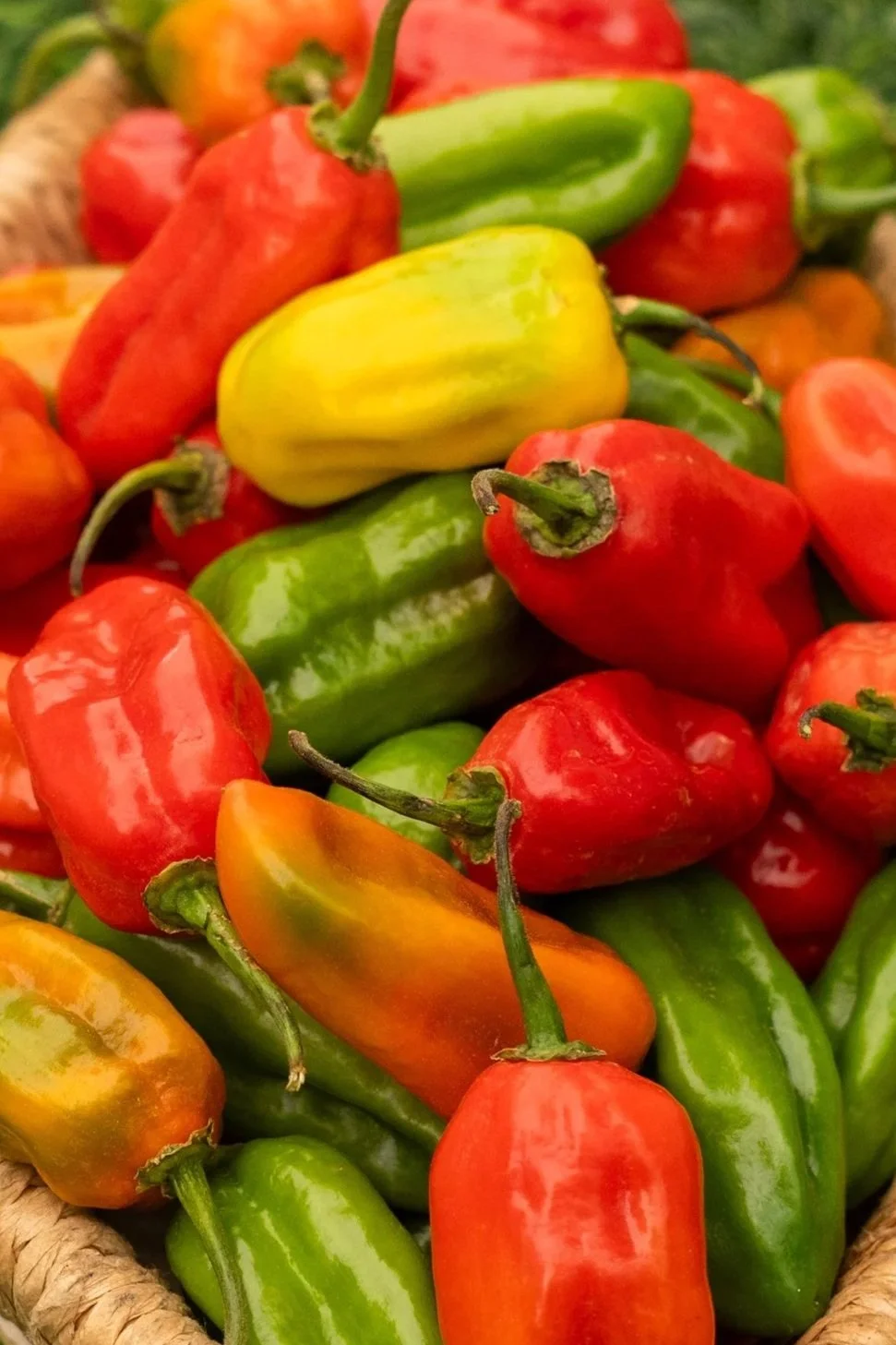 Piment