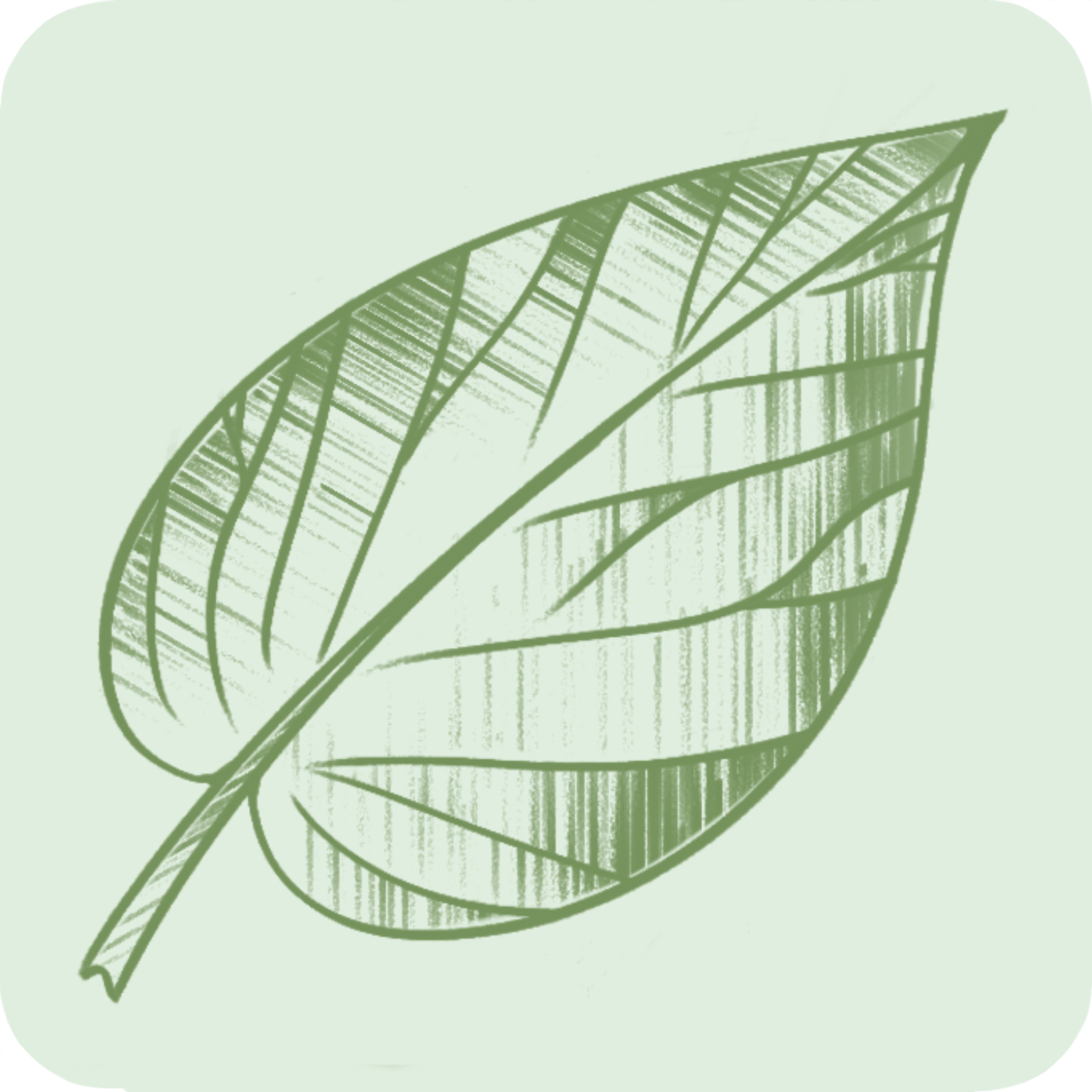 Image (5).png