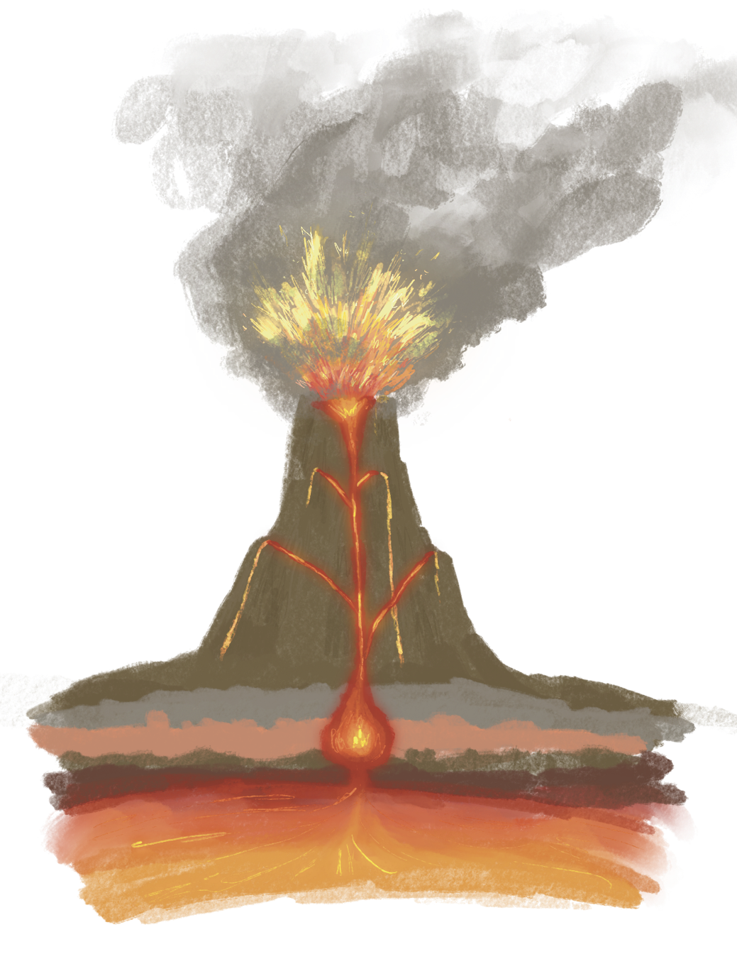 Image (2).png