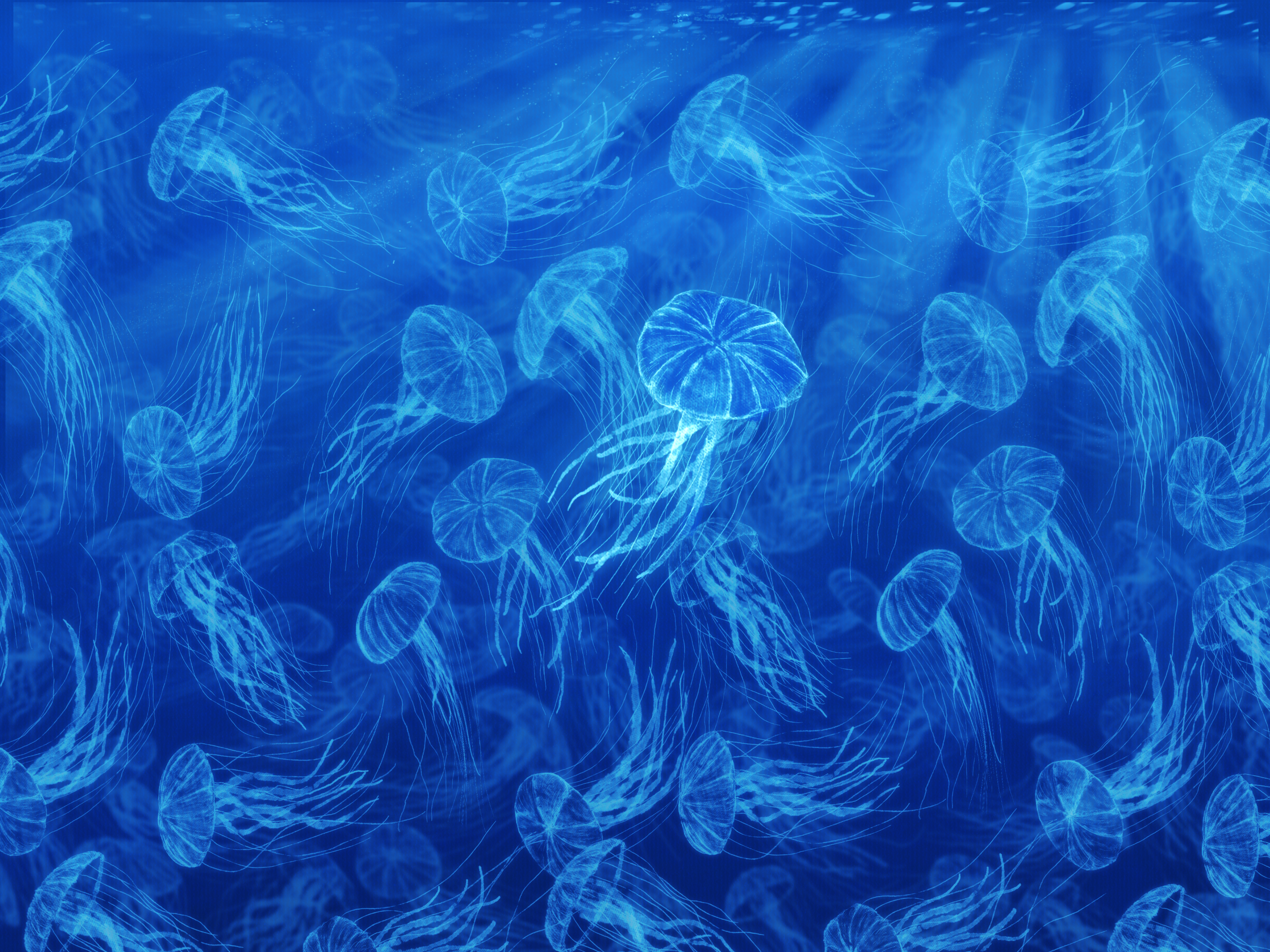 Image (24).png