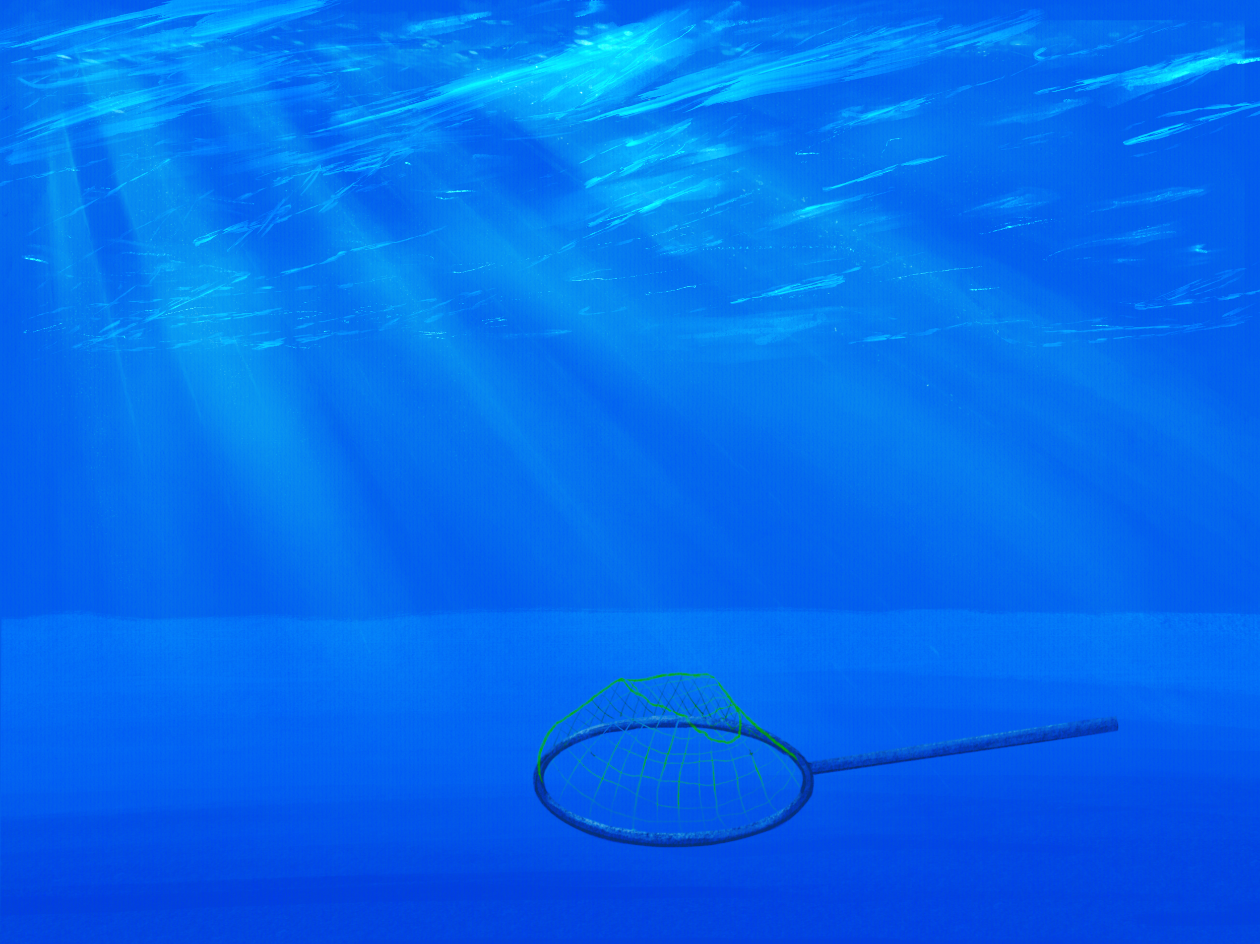 Image (26).png