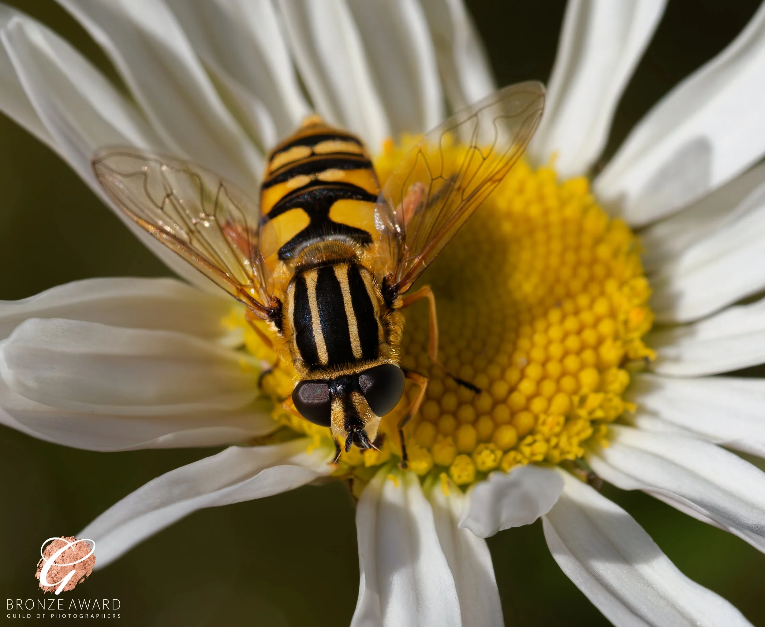 2025-06-01 14-23-11 - 0396_DxO.jpg