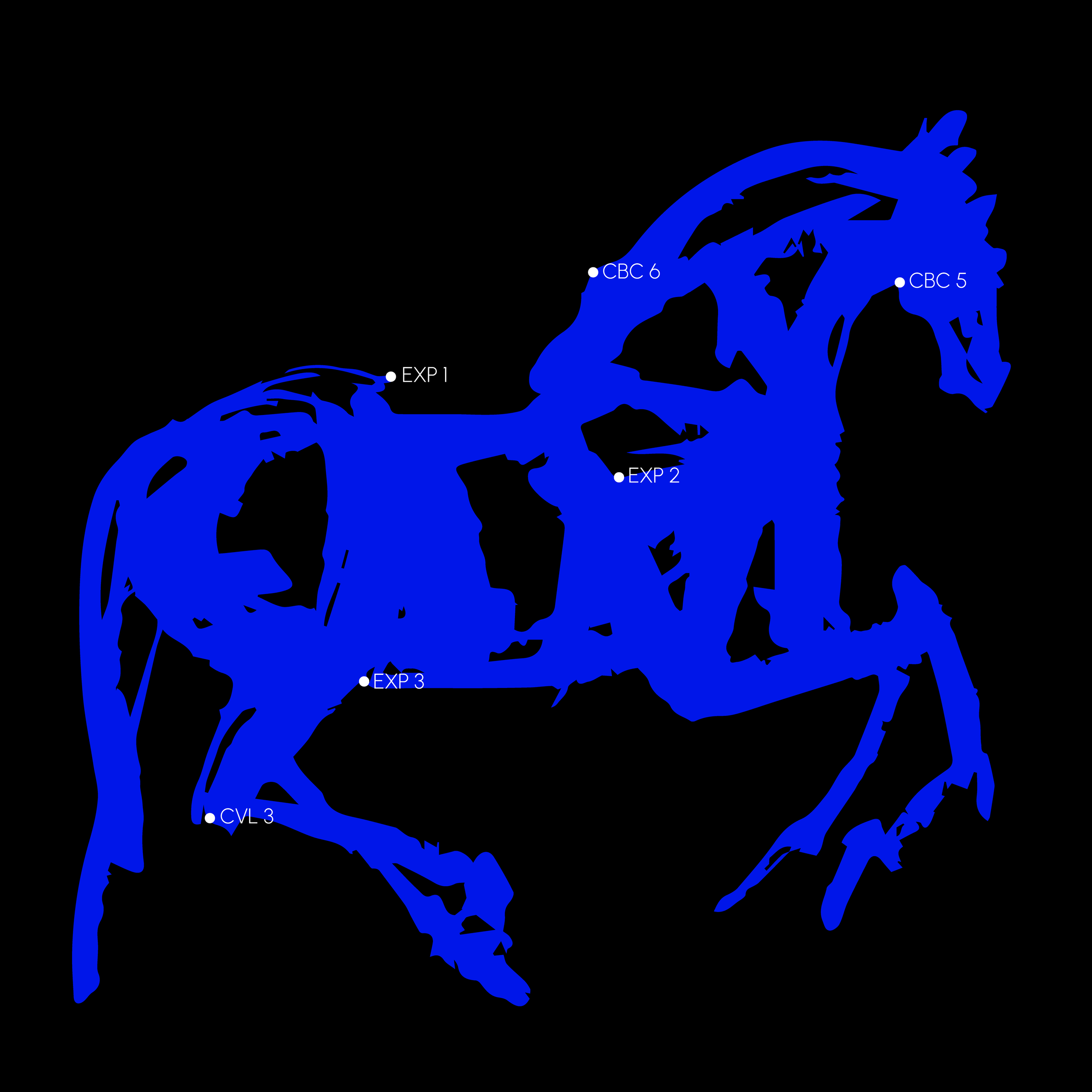 lab azul_Prancheta 1 cópia.png