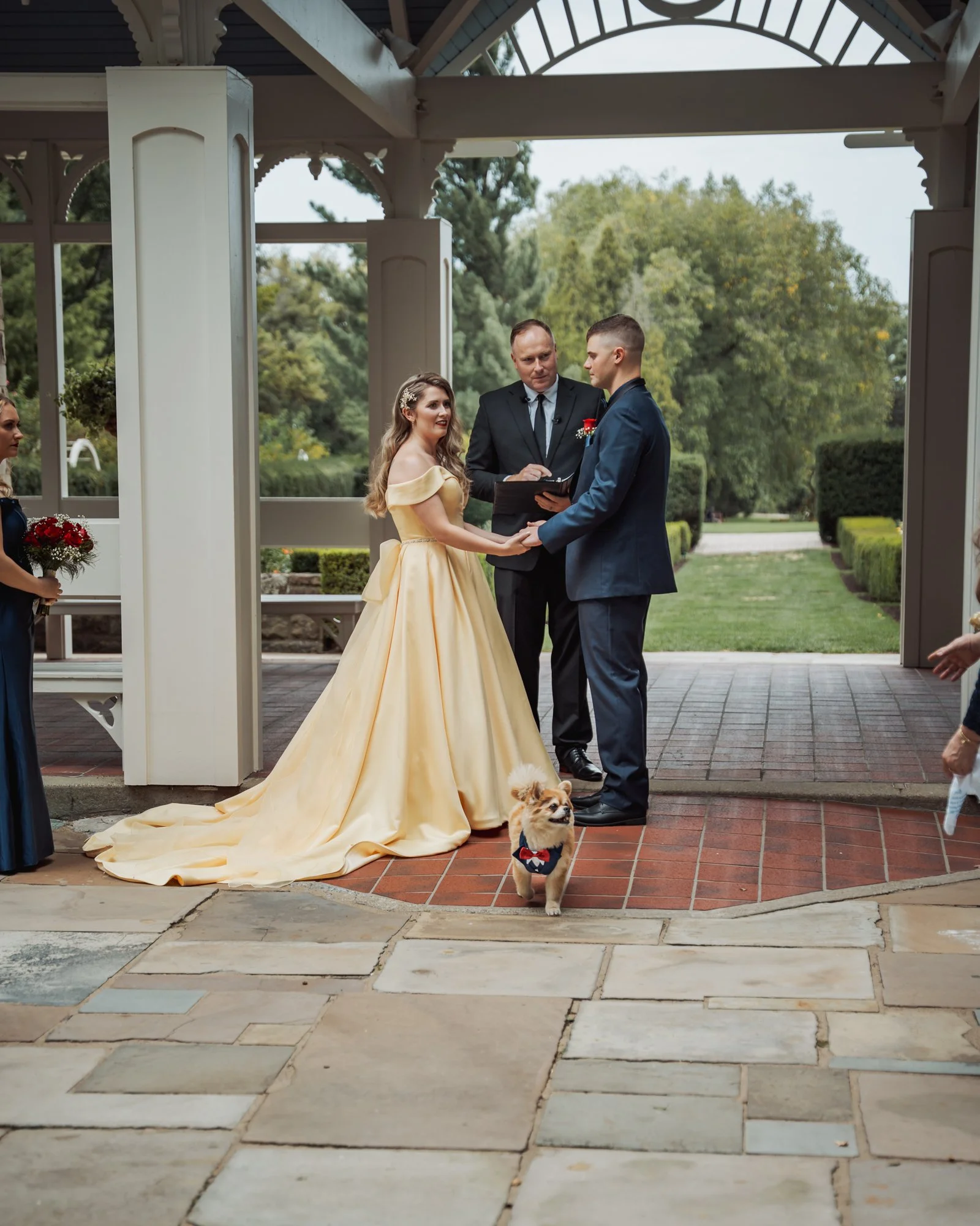 A wedding ceremony with a bride in a yellow gown and a groom in a navy suit, held outdoors under a white pavilion. An officiant stands between them, holding a book. Bridesmaids hold bouquets, and a small dog with a bow tie is at the bride's feet.