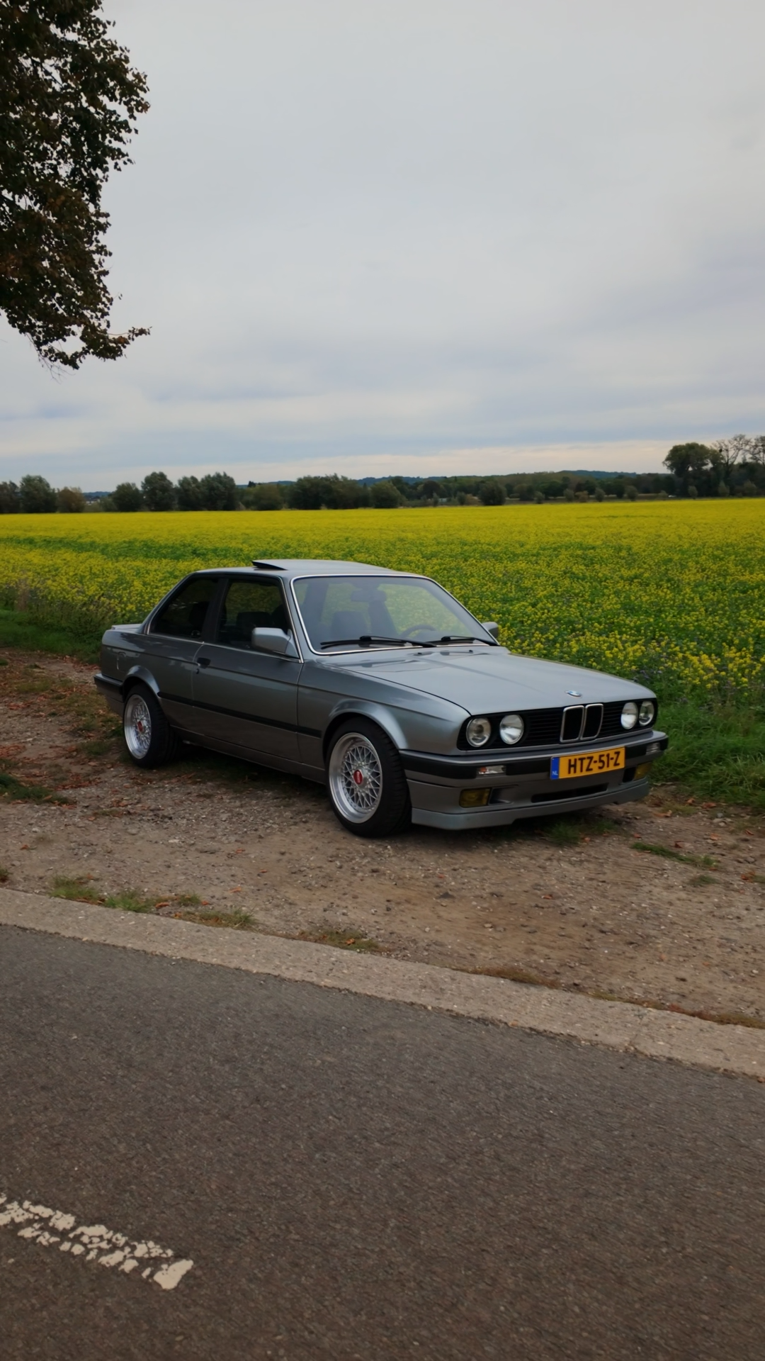 A silver classic BMW E30 coupe parked on a grassy roadside next to a paved road, with a yellow flowering field and a cloudy sky in the background.