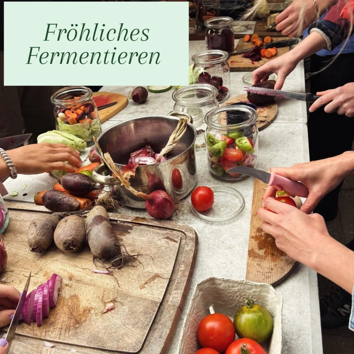 Am letzten Wochenende haben wir auf der @evergreen_permakultur Farm einen Fermentationsworkshop gegeben. Lustig und munter wurde bei bestem Wetter fermentiert.
Wenn du mehr &uuml;ber heimische Pflanzen und ihre Verwendung erfahren m&ouml;chtest, komm