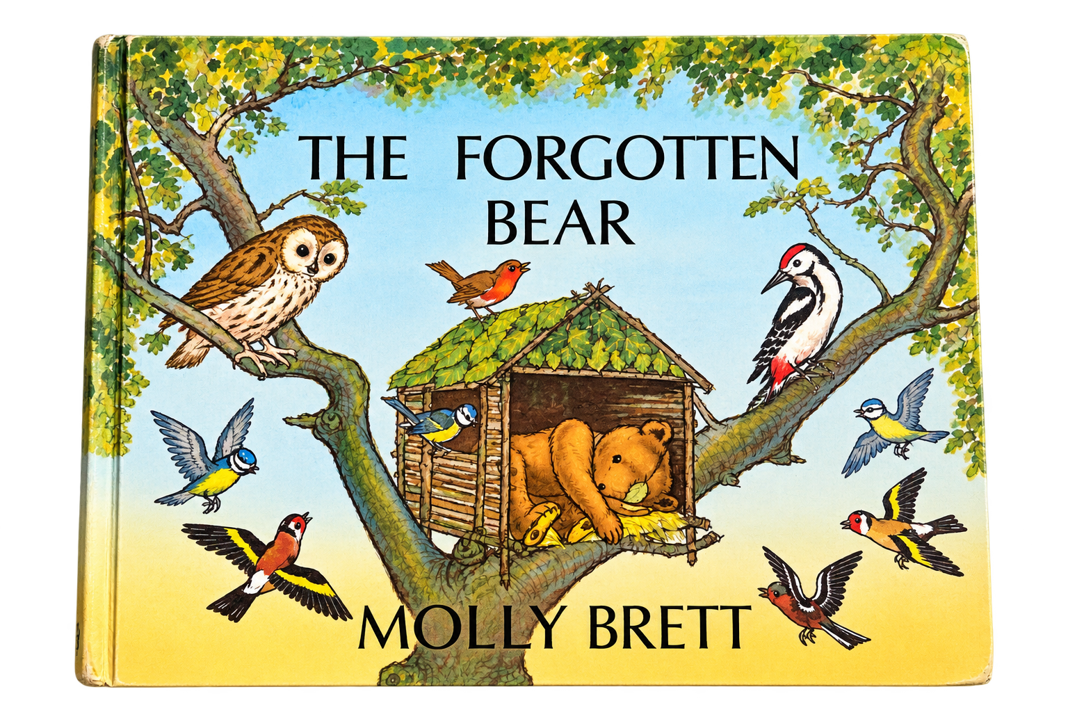 The Forgotten Bear – Molly Brett