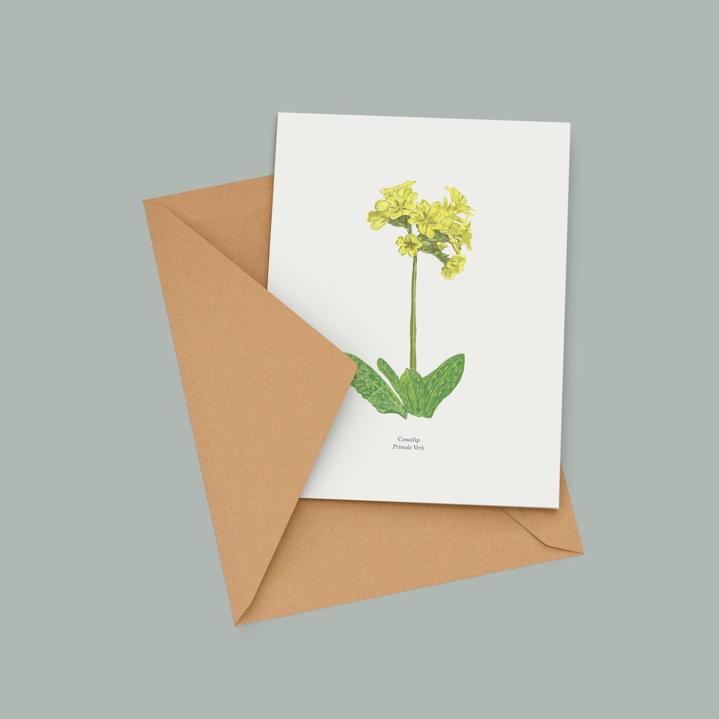 Cowslip