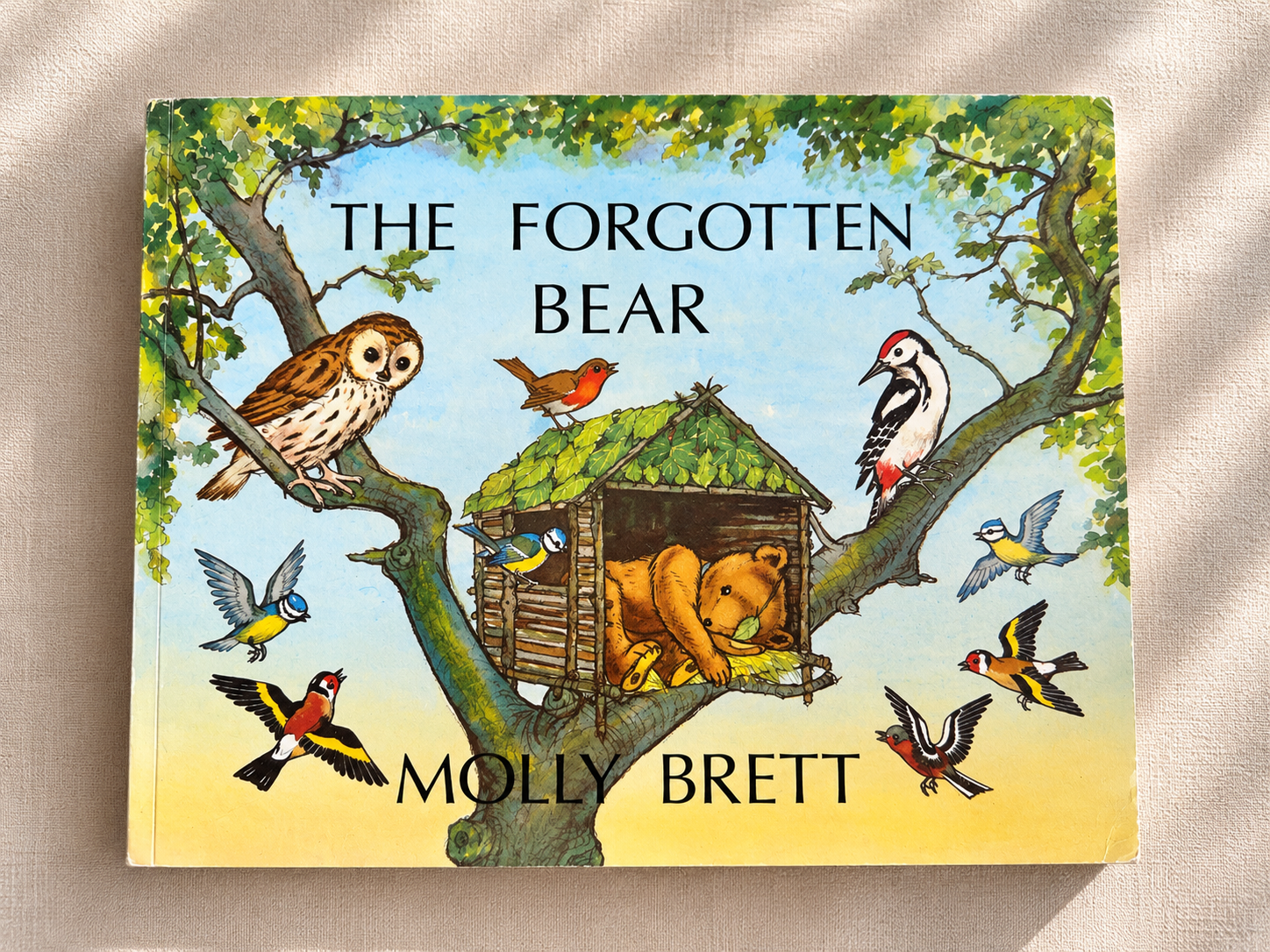 The Forgotten Bear – Molly Brett
