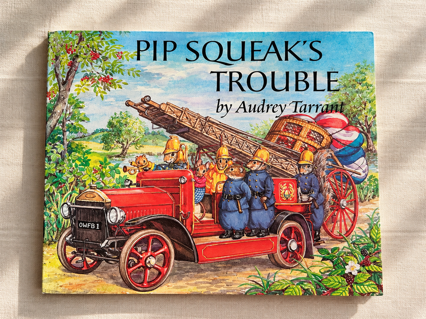 Pip Squeak's Trouble – Audrey Tarrant