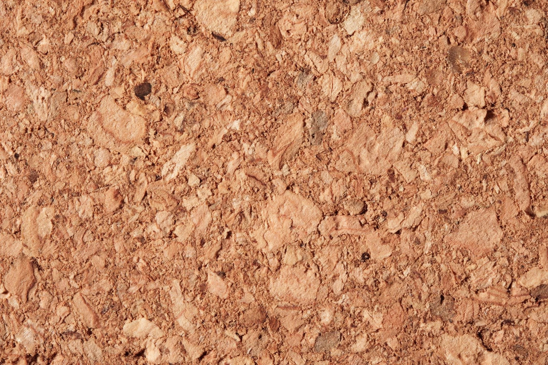 Close-up of Agglomerated Cork.