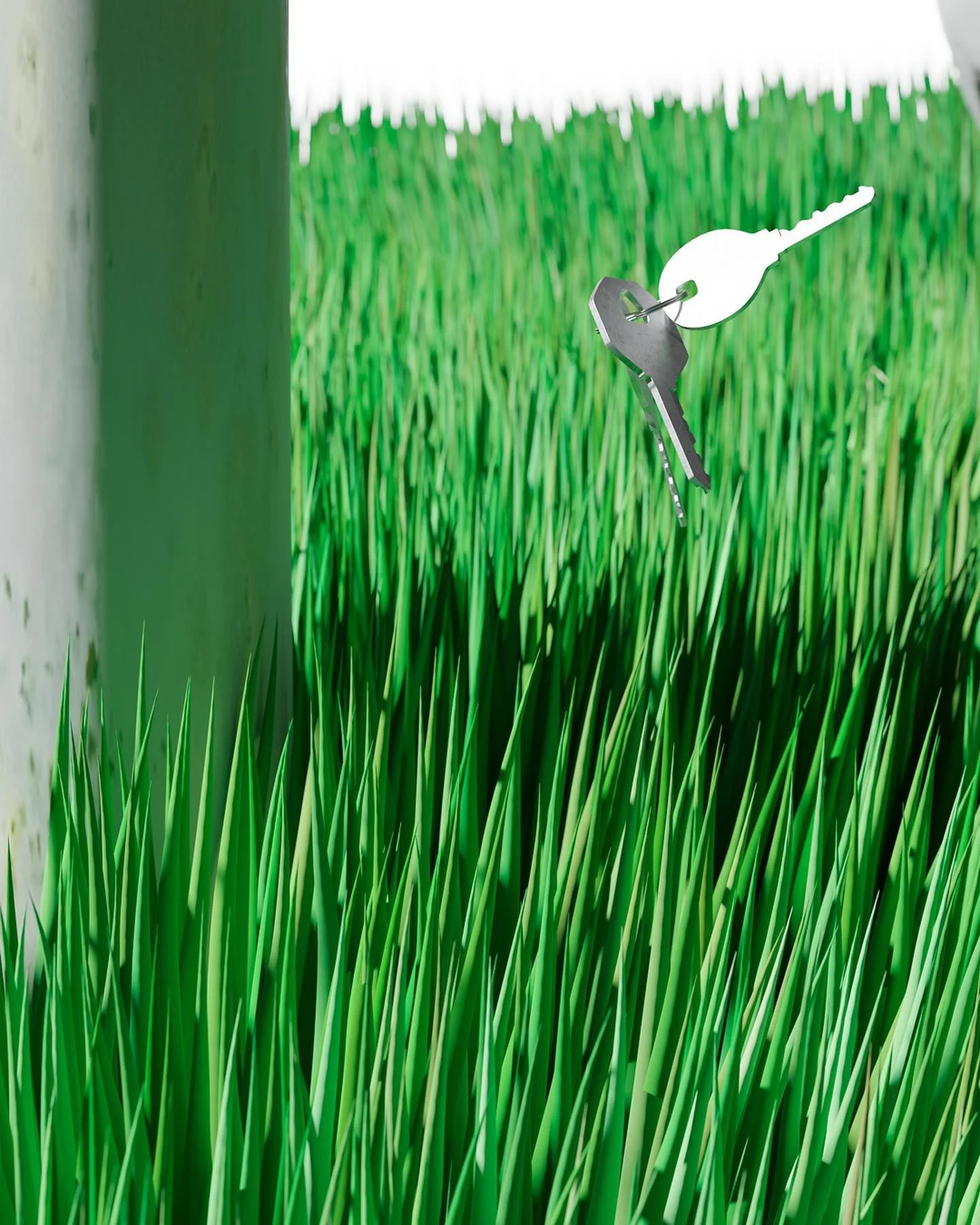 It&rsquo;s already been a year since I graduated from @hku.photography. This work never made it into the Fitter, Happier, and More Productive  final presentation. It reminds me of the countless hours of playing outside after school and dropping every