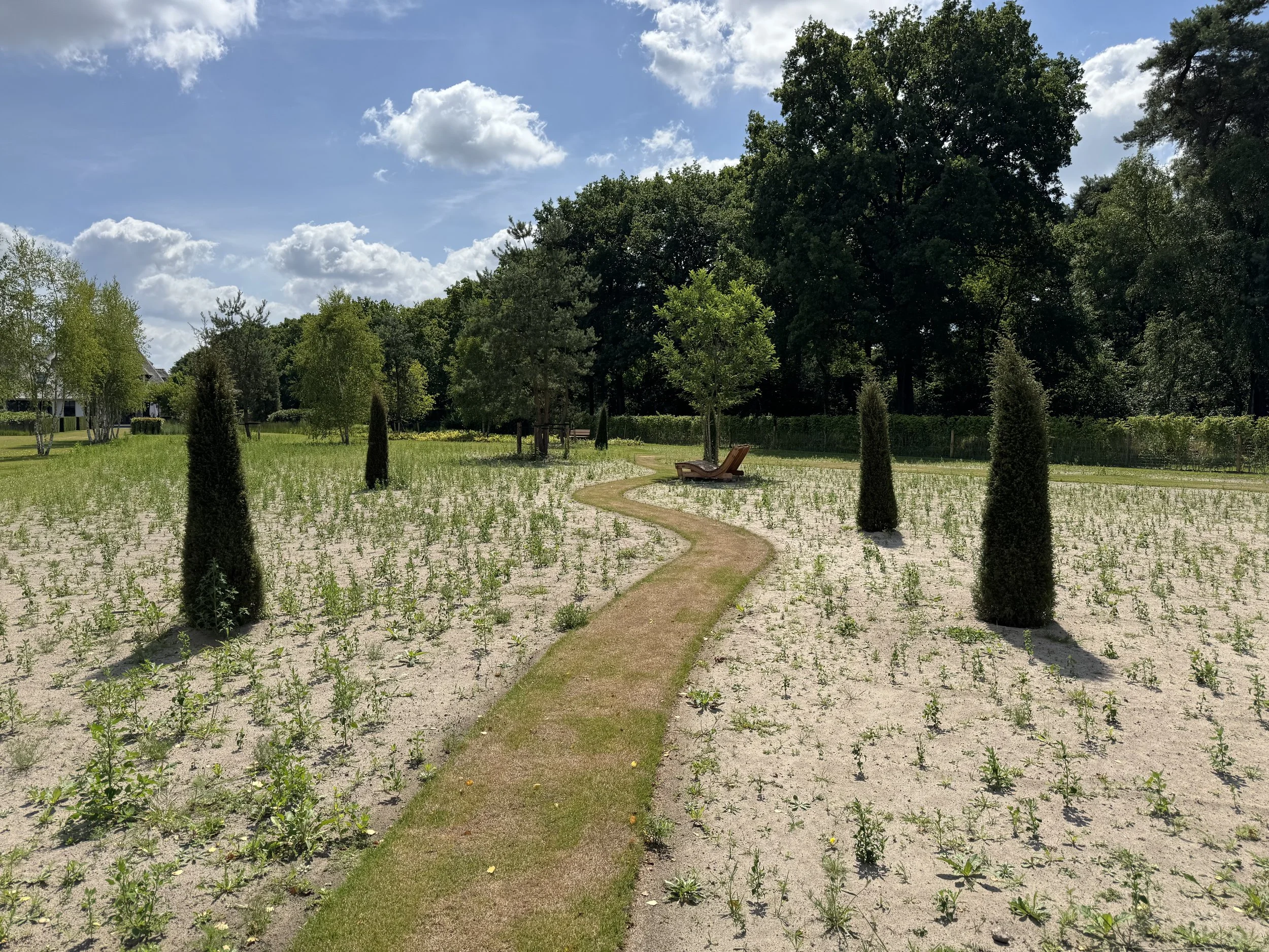 meadows on the characteristic sandy soil