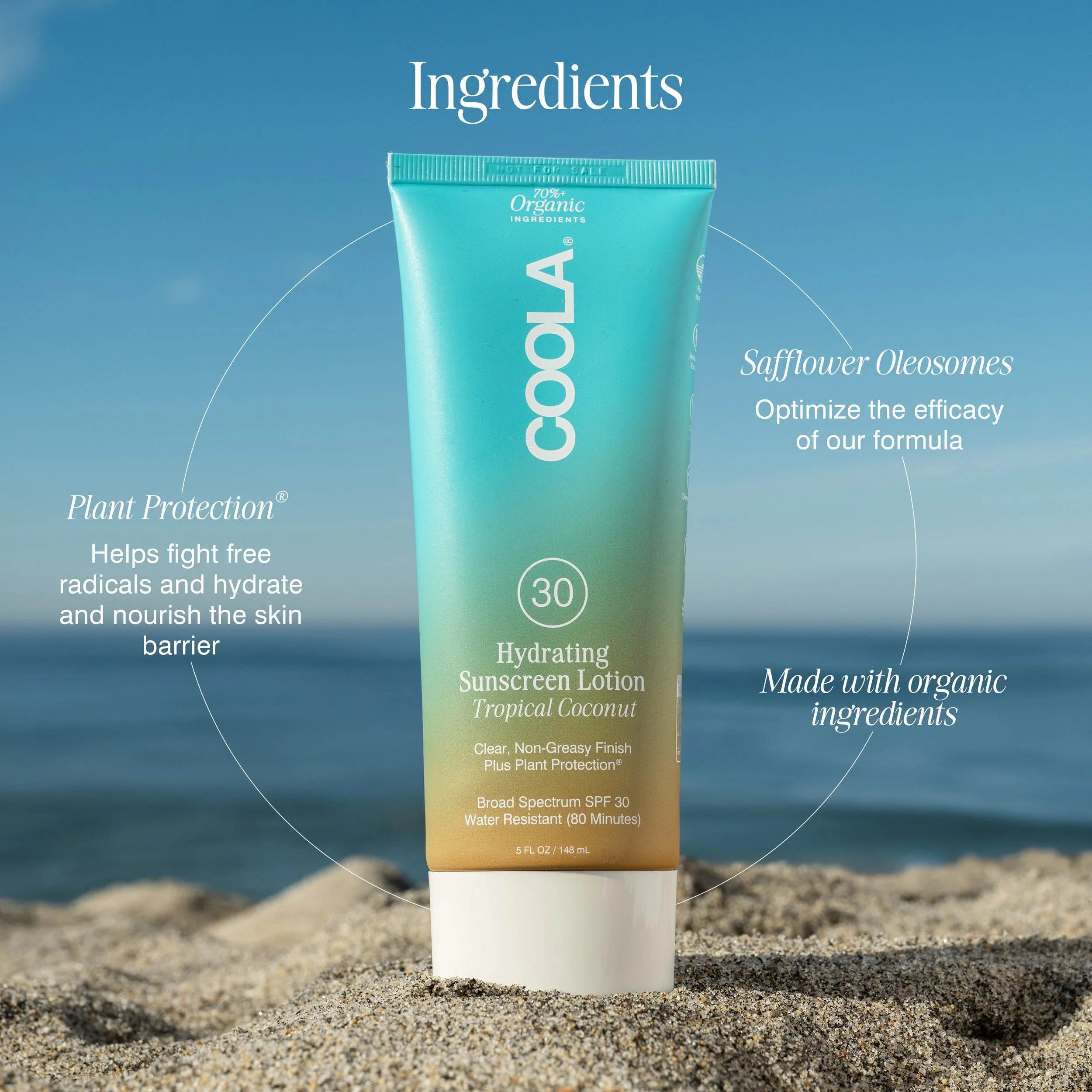 3rd Image = Barcode__850008613623_Image 3.jpg