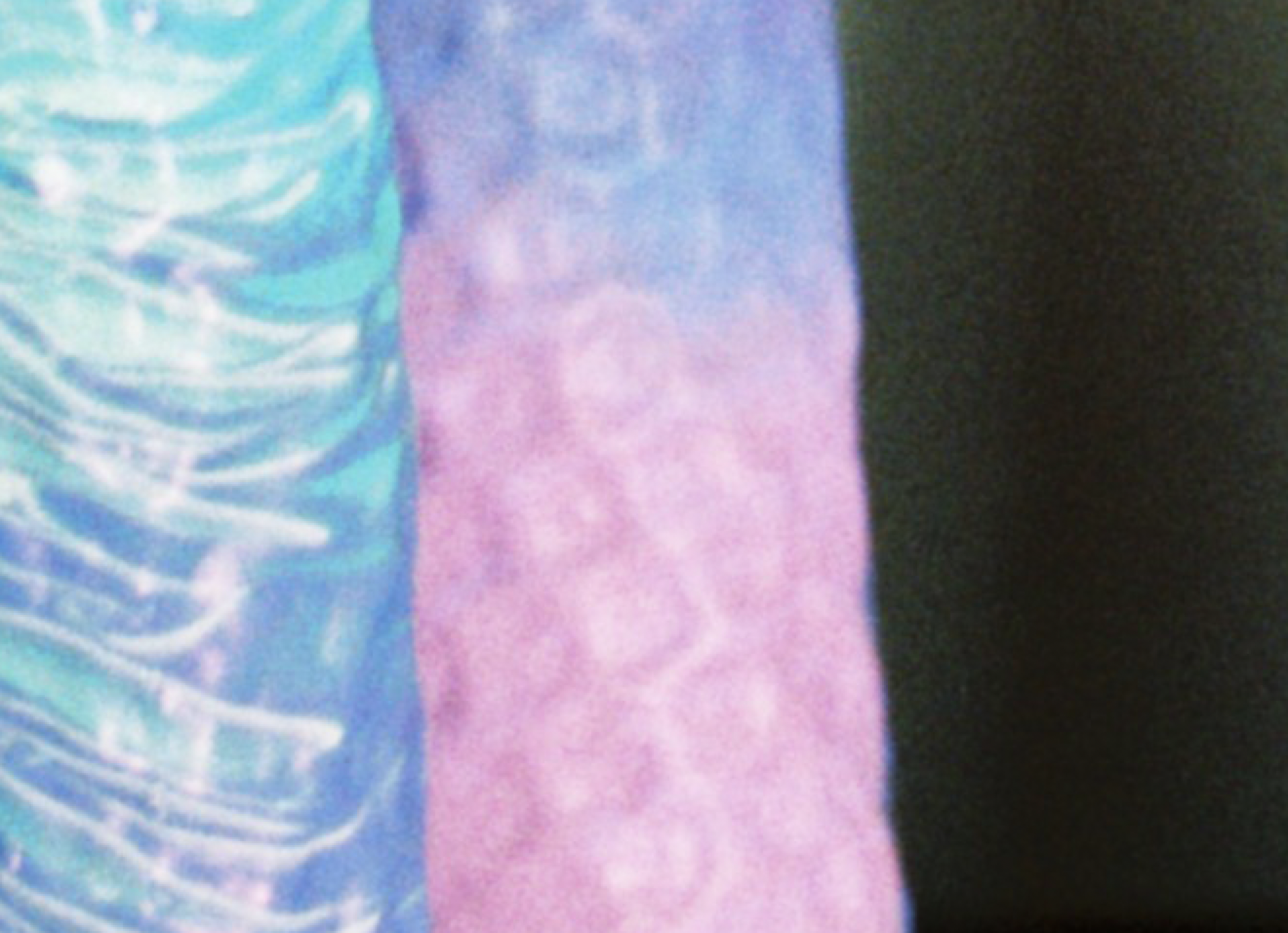 Screenshot 2025-01-27 at 19.33.00.png