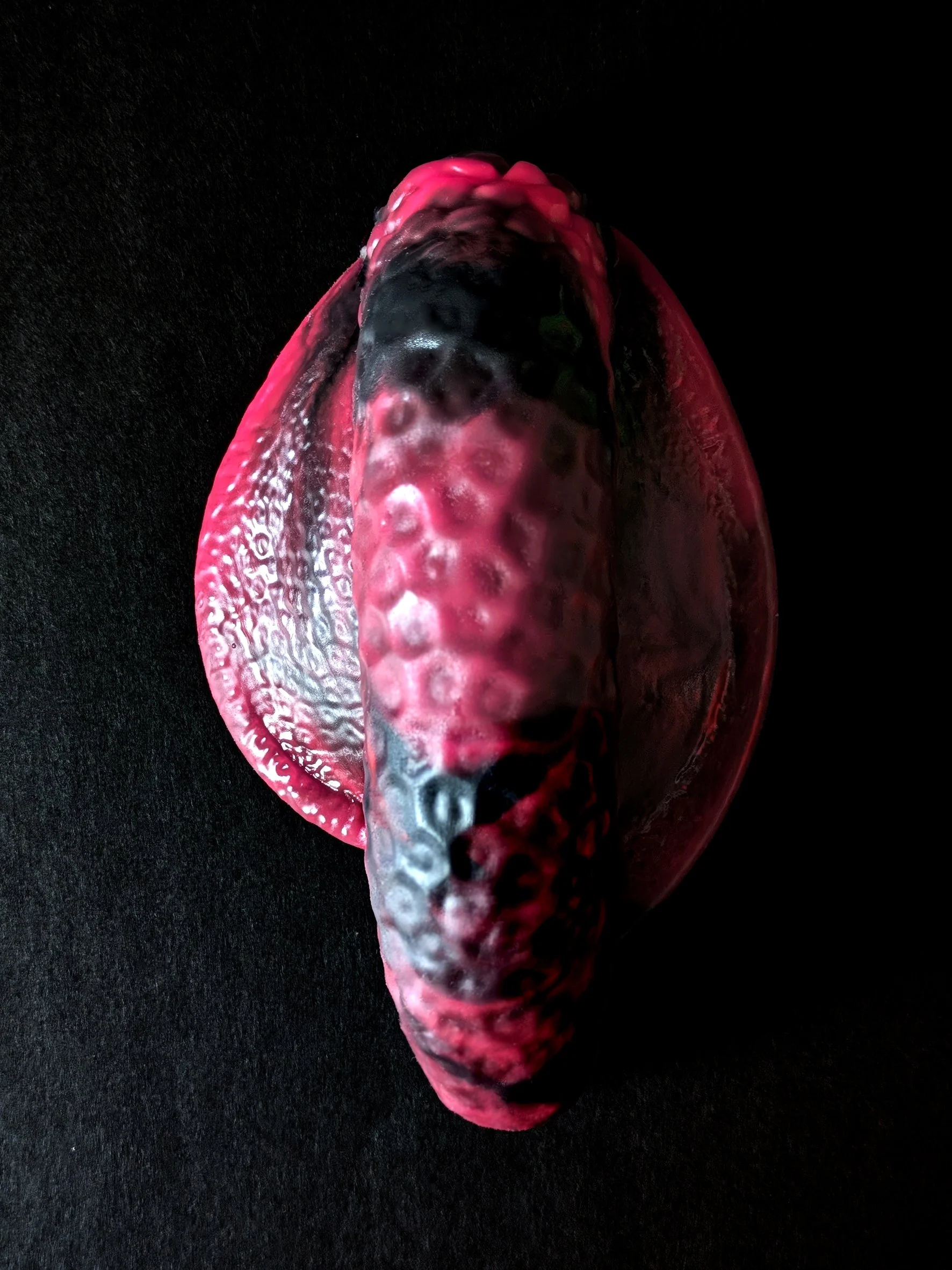 SPATHE ~ Liquorice