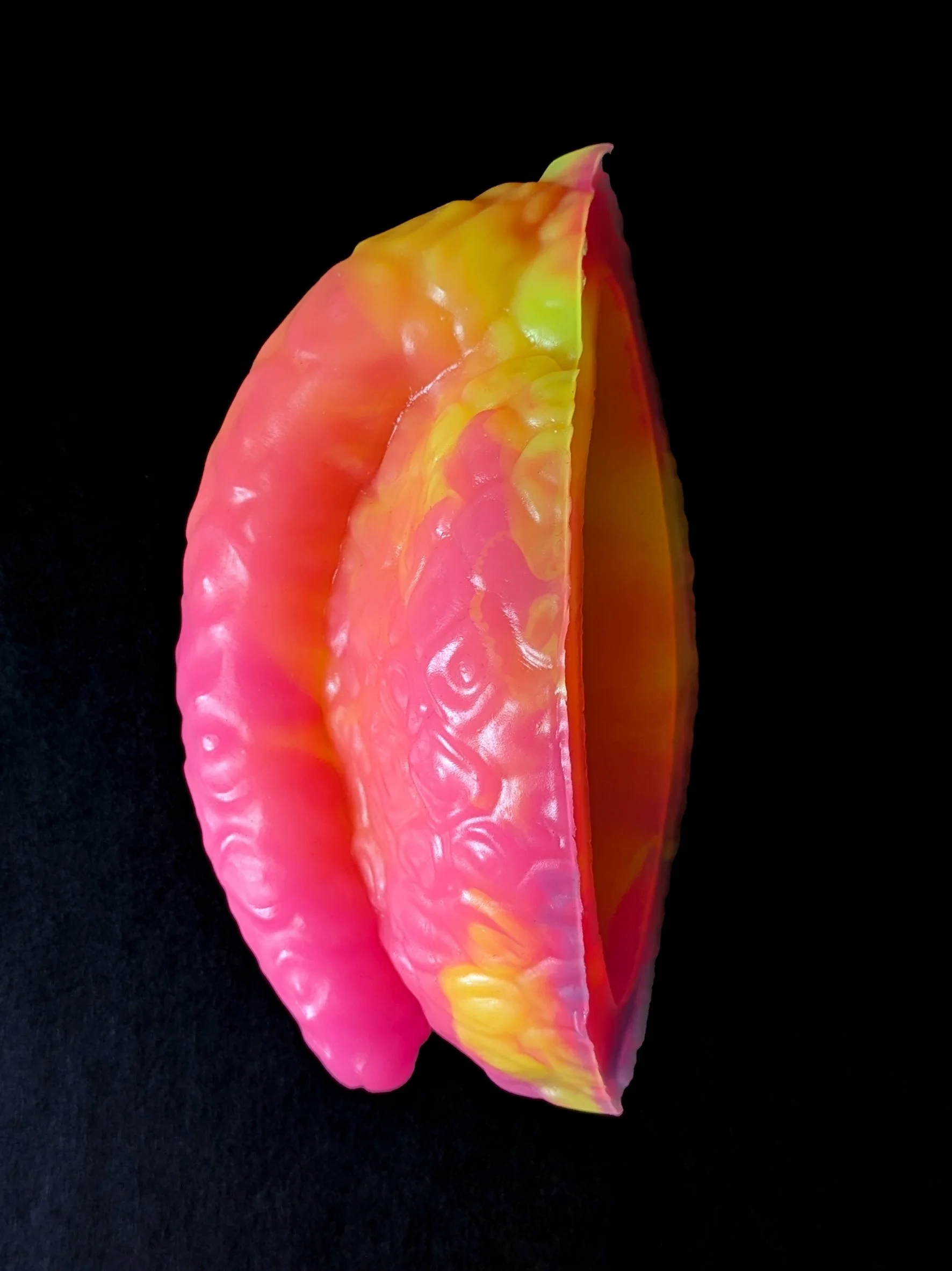 pina3.jpg