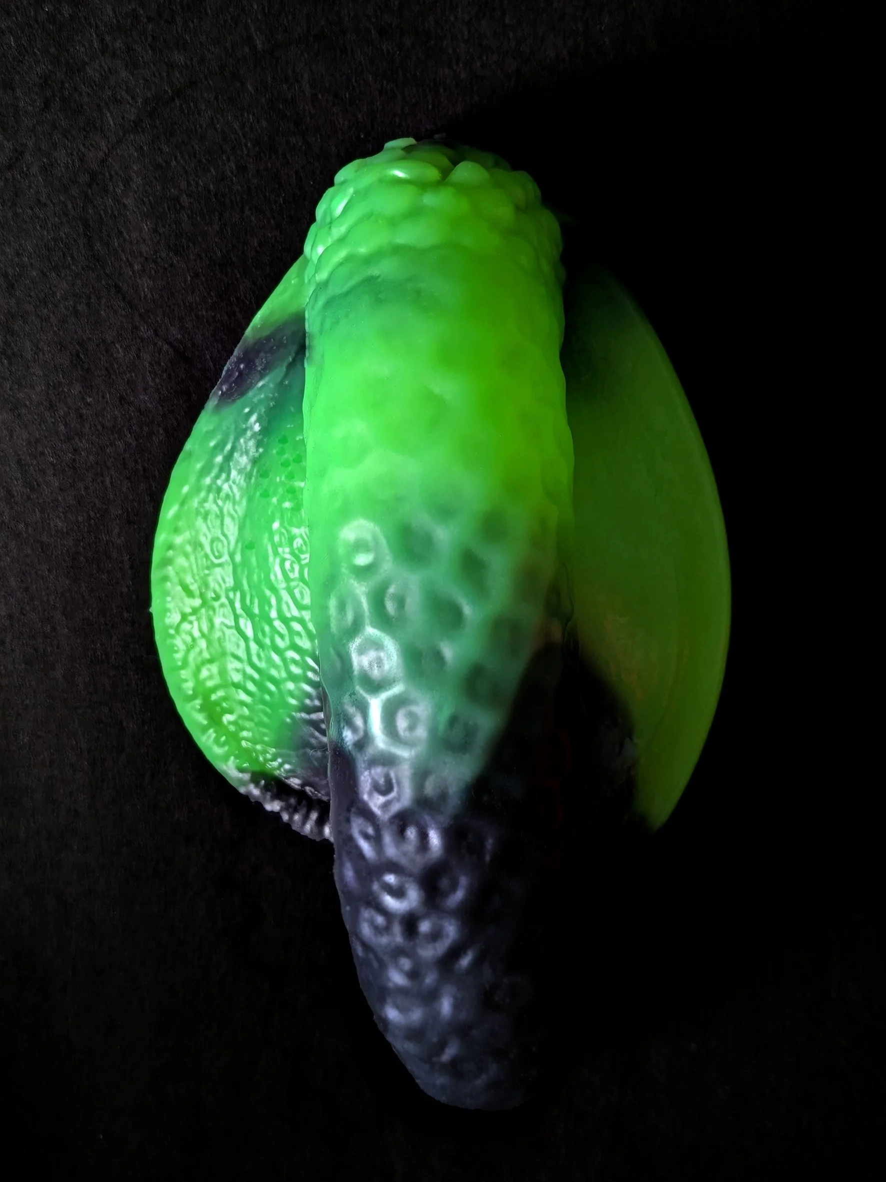 snake1.jpg