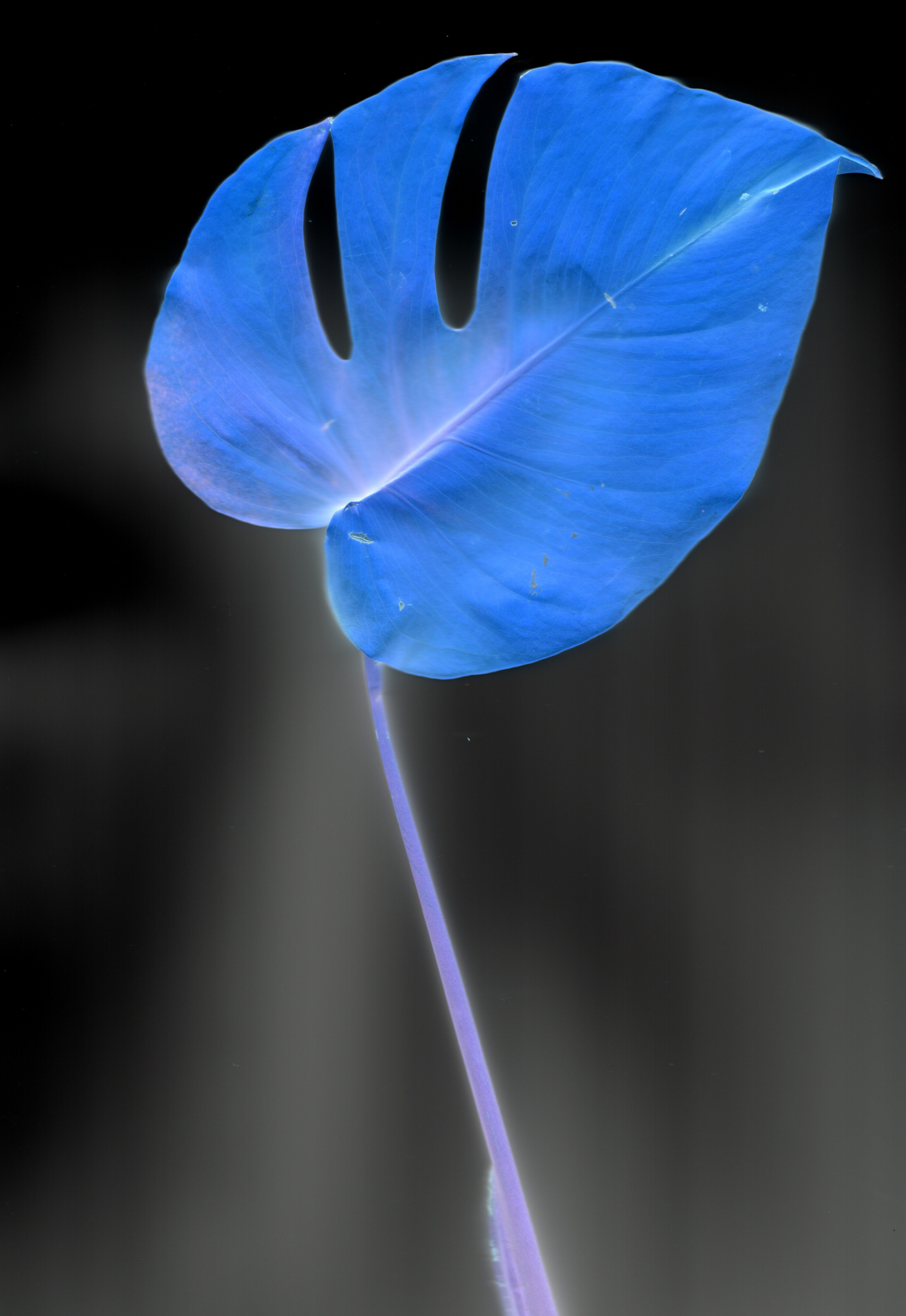 printing leathers.png