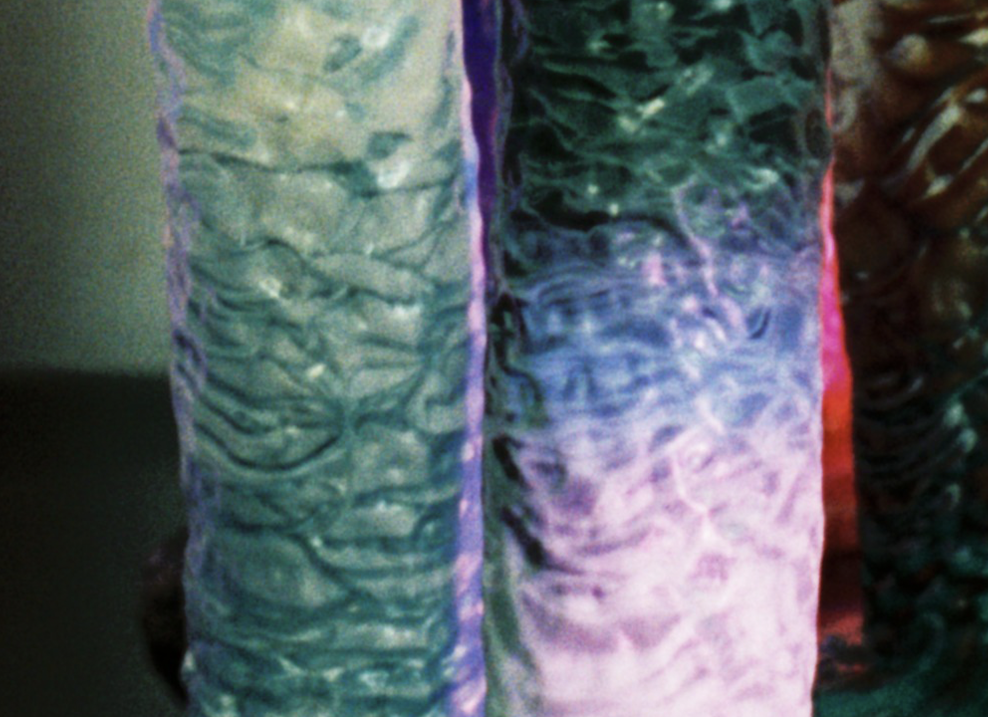 Screenshot 2025-01-27 at 19.28.11.png