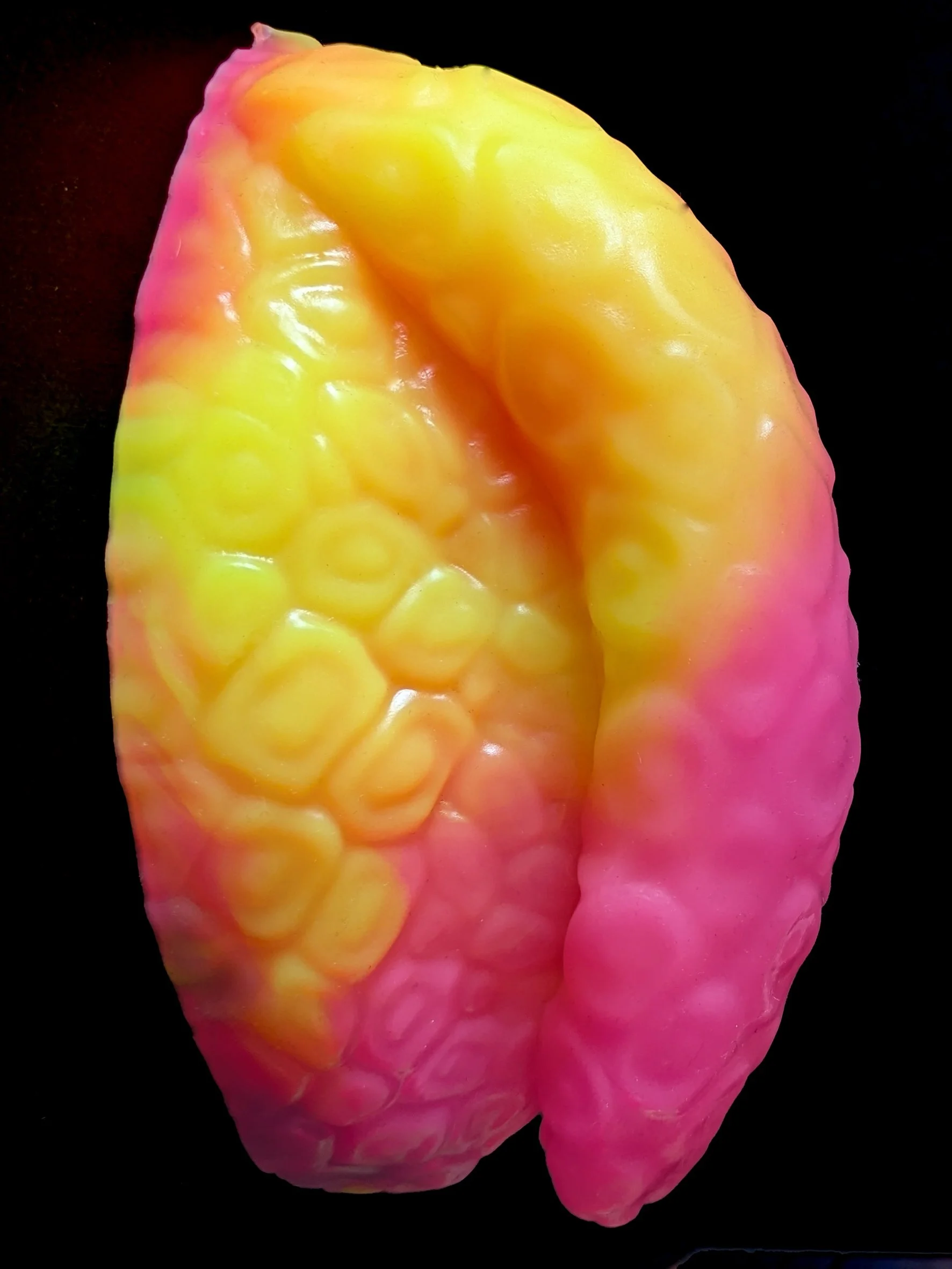 pina2.jpg