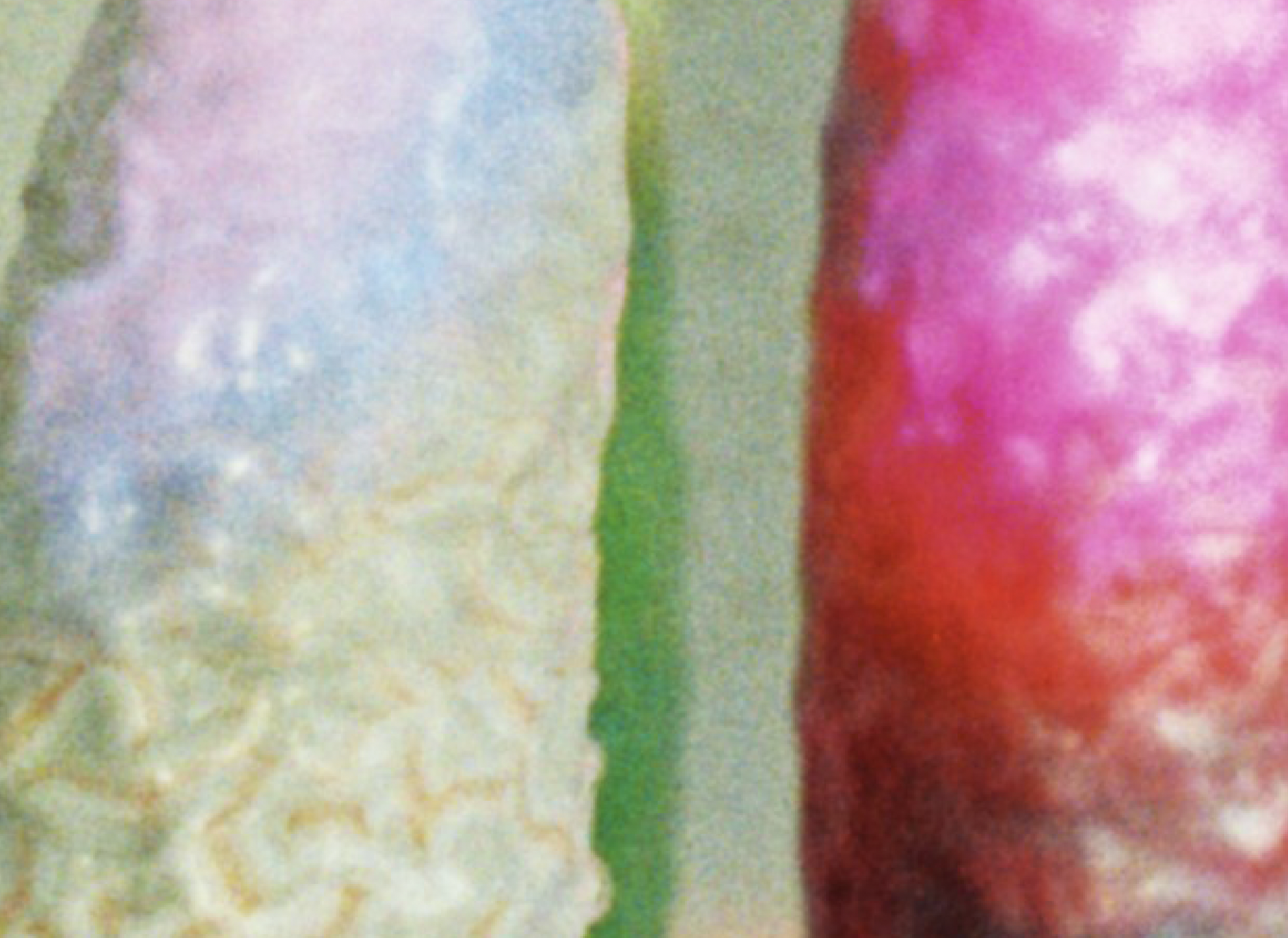 Screenshot 2025-01-27 at 19.25.46.png