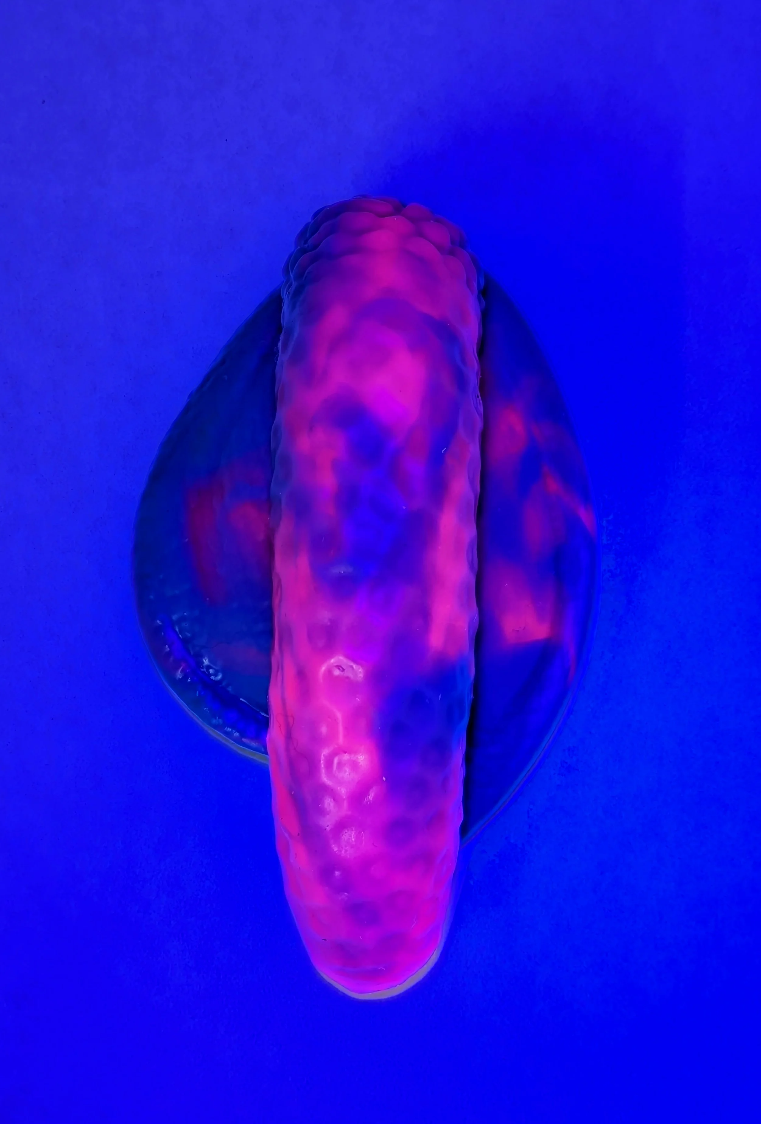 20.10_Packer - Spathe_1UV.jpg