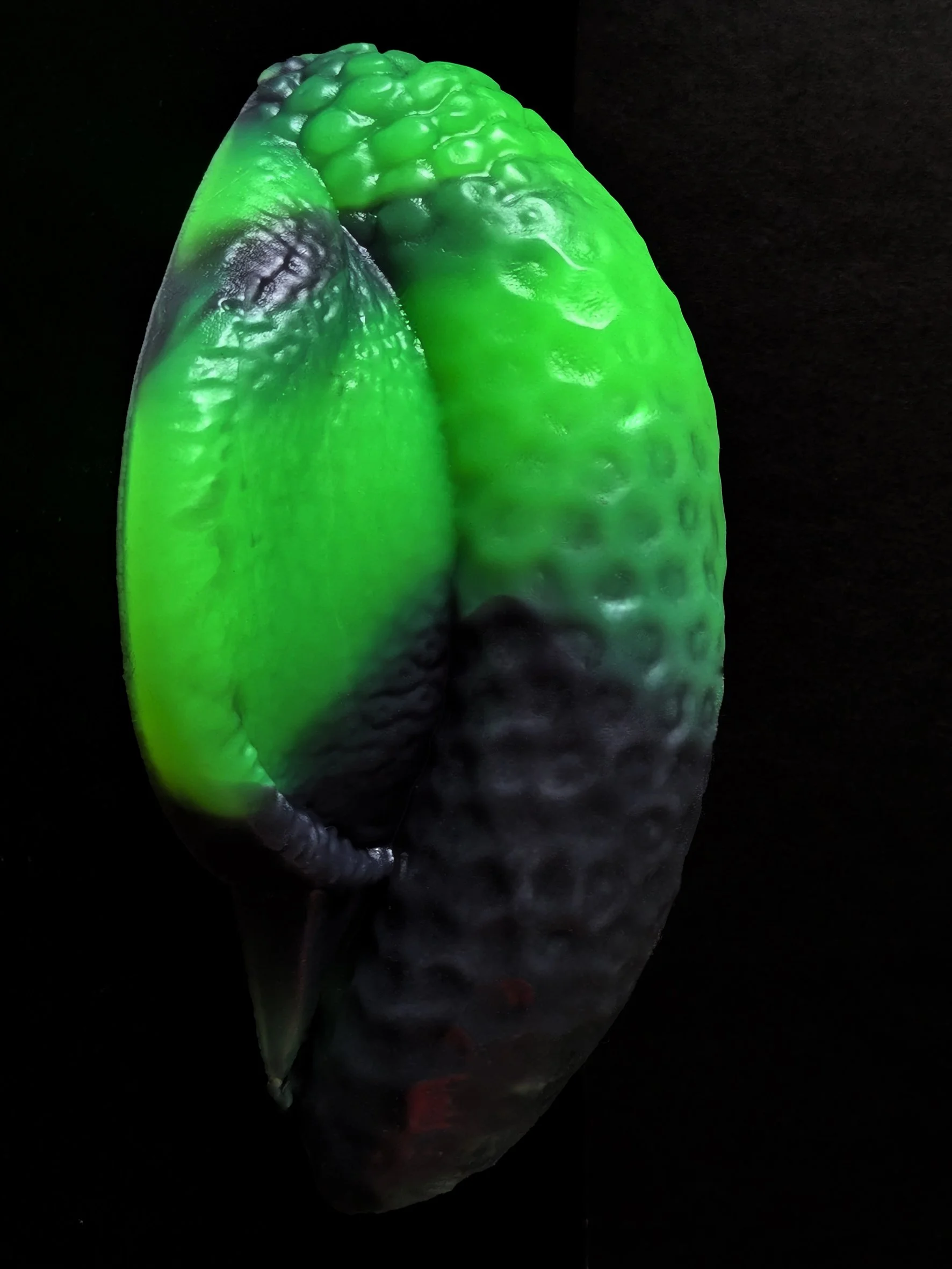 snake2.jpg