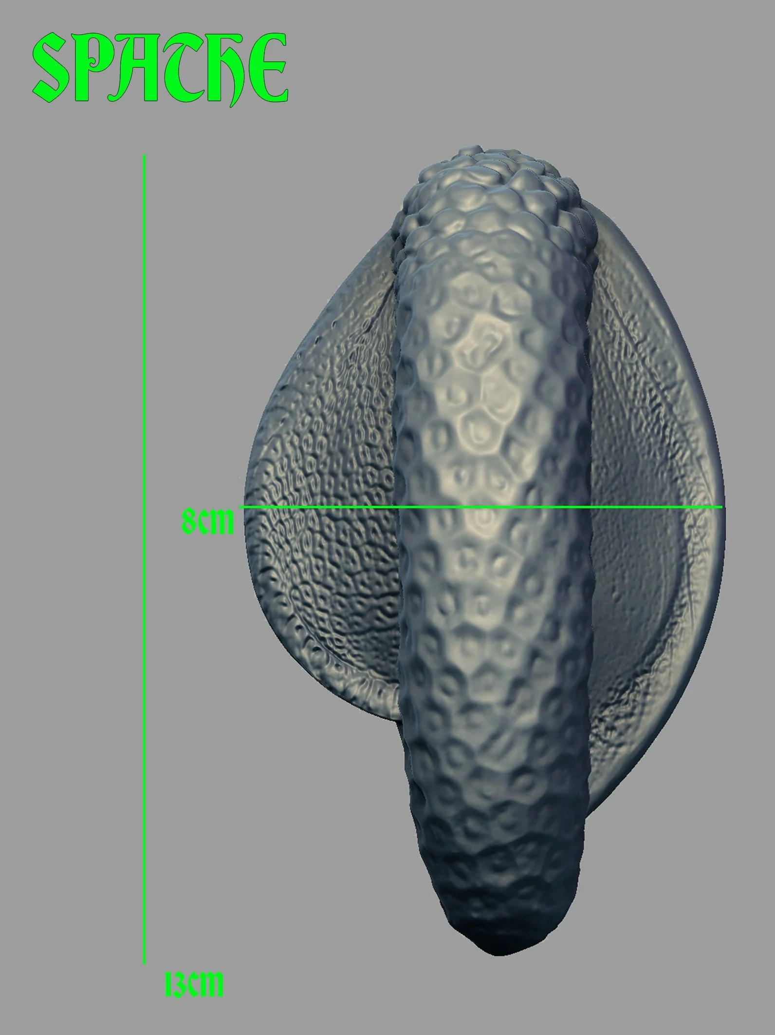 SPATHE_size2.jpg (Copy) (Copy) (Copy)