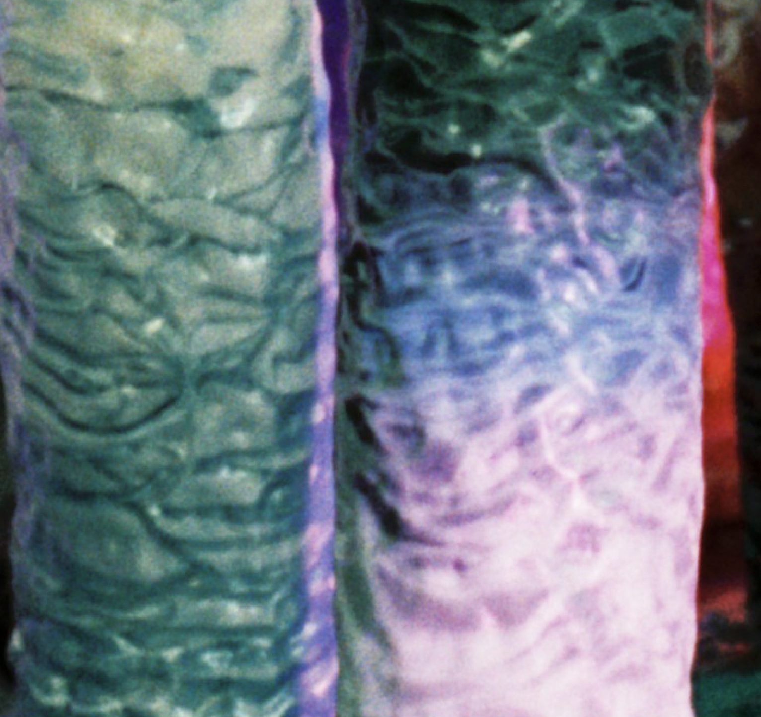 Screenshot 2025-01-27 at 19.32.40.png